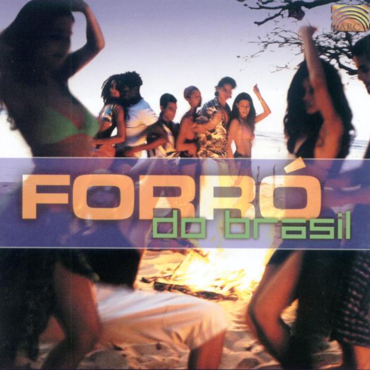 Various Artists - Forro Do Brasil