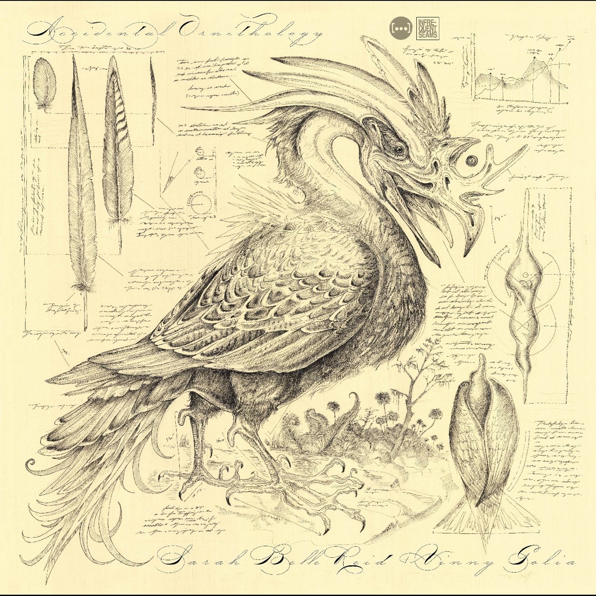 Afbeelding van Sarah Belle Reid & Vinny Golia - Accidental Ornithology