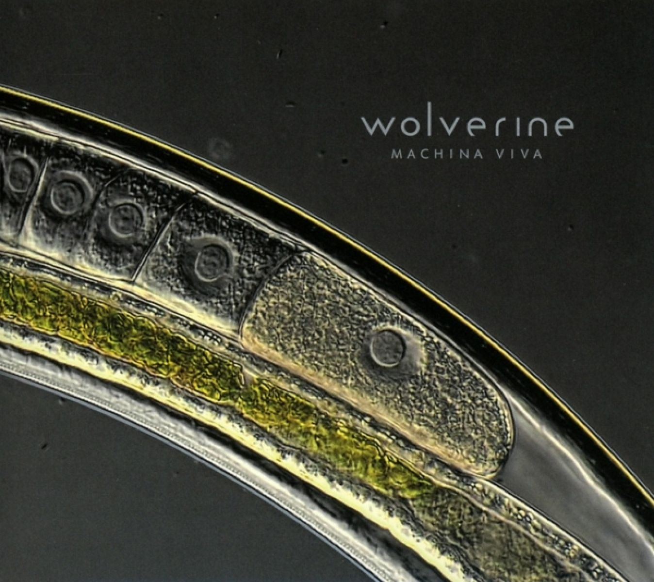 Wolverine - Machina Viva