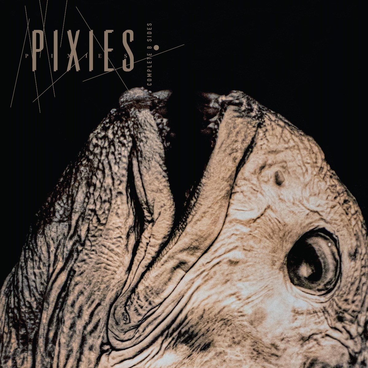 Afbeelding van Pixies - Complete B-Sides: 1988-97
