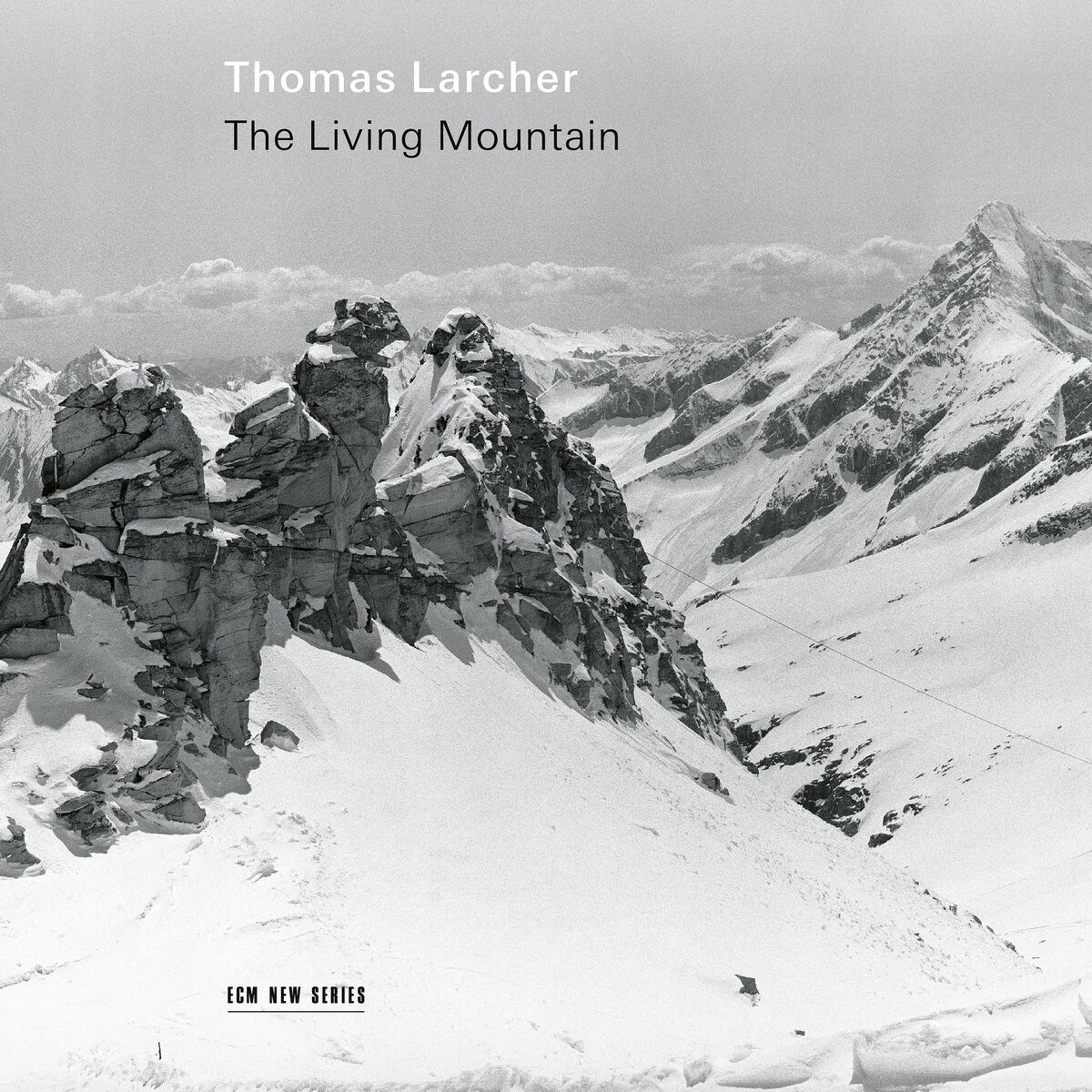 Afbeelding van Thomas Larcher - The Living Mountain