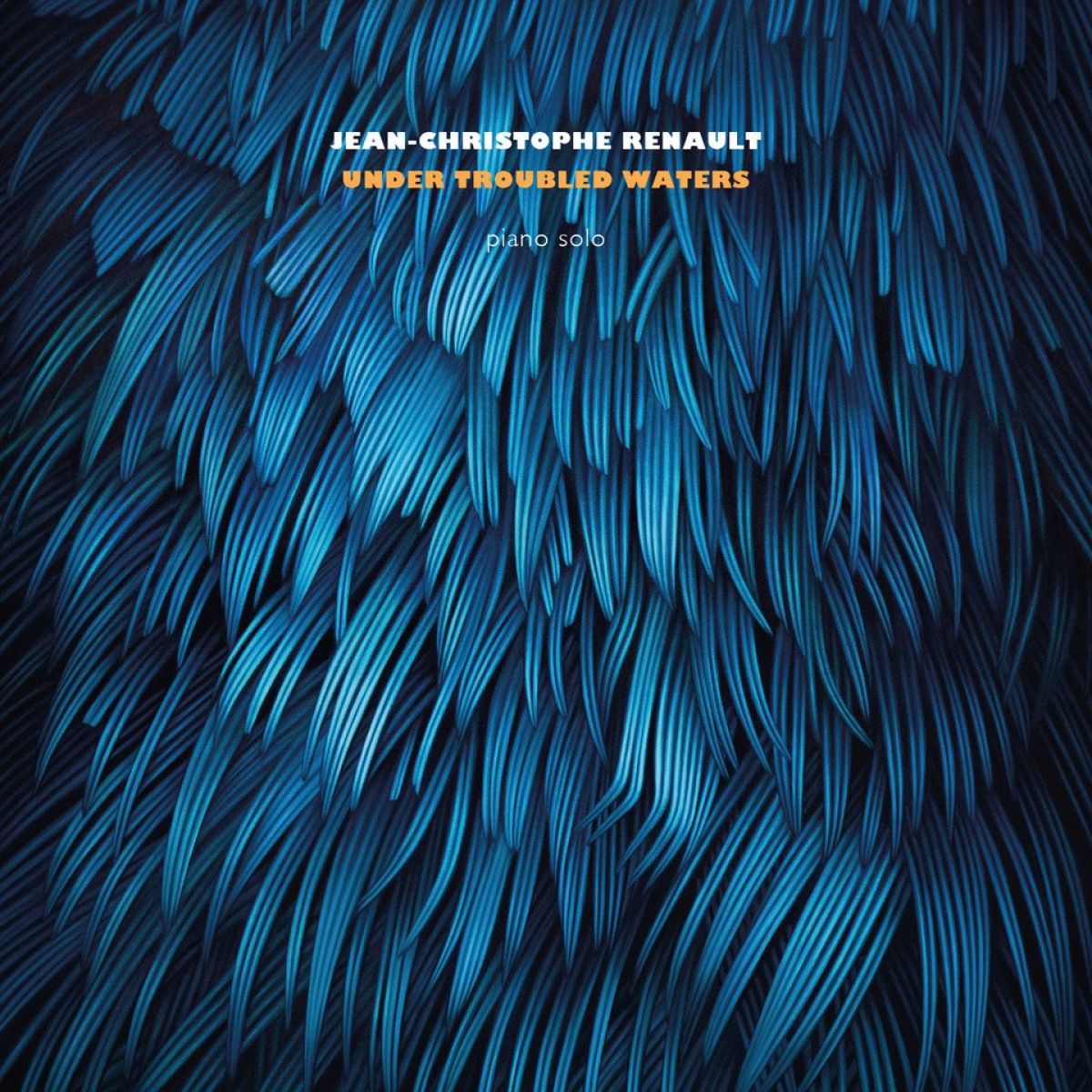 Jean-Christophe Renault - Under Troubled Waters