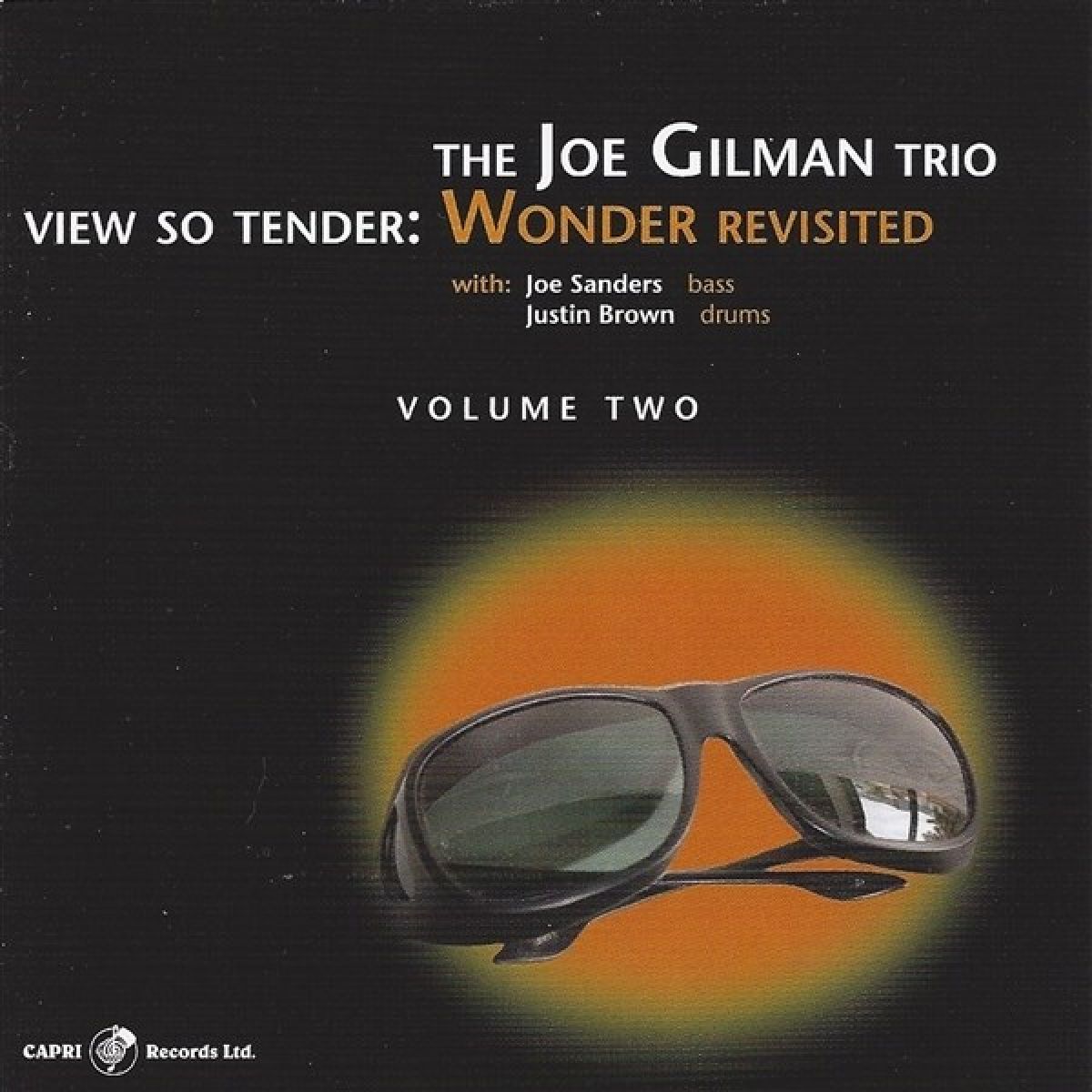 Joe Gilman - View So Tender: Wonder Revisted Vol.2