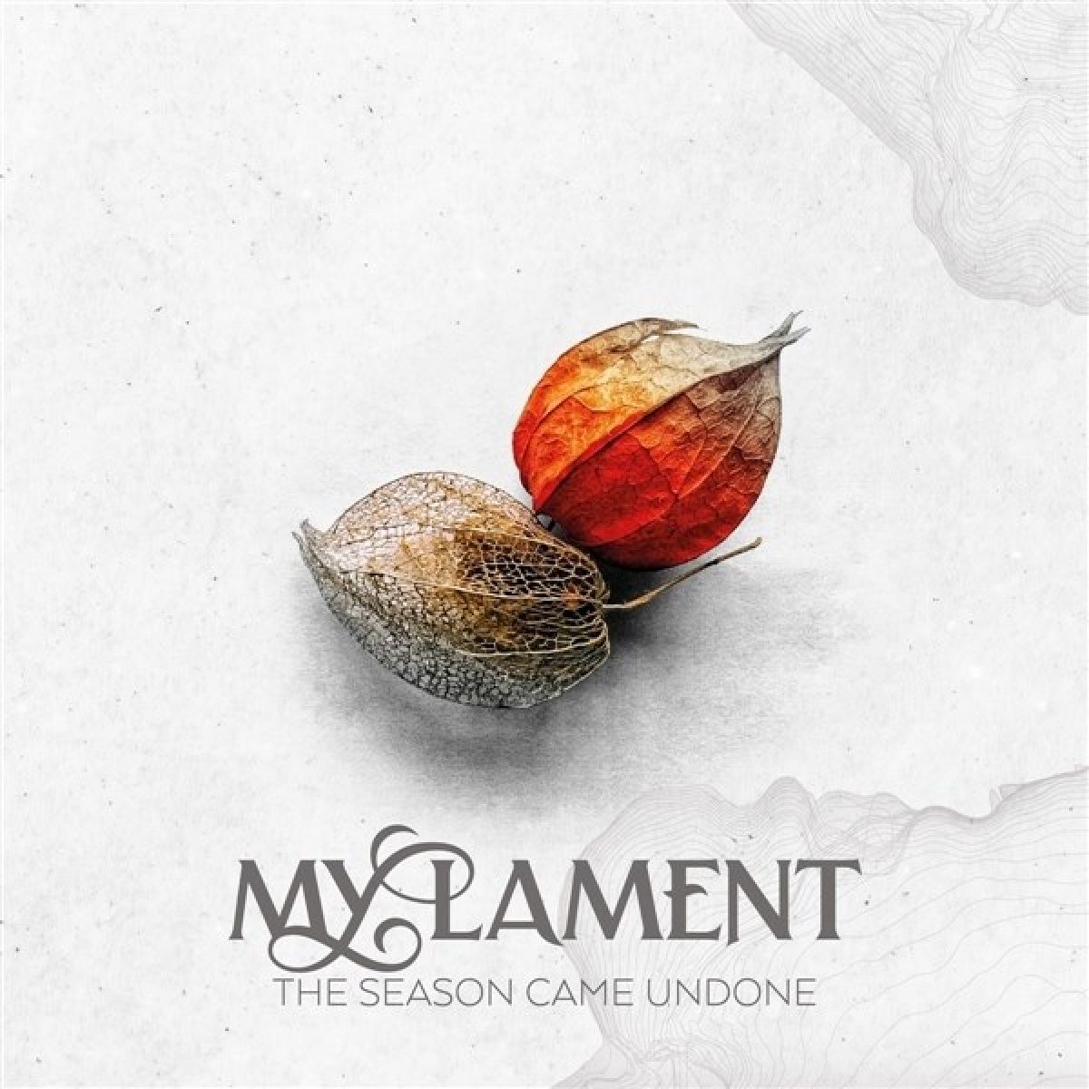 Afbeelding van My Lament - The Season Came Down