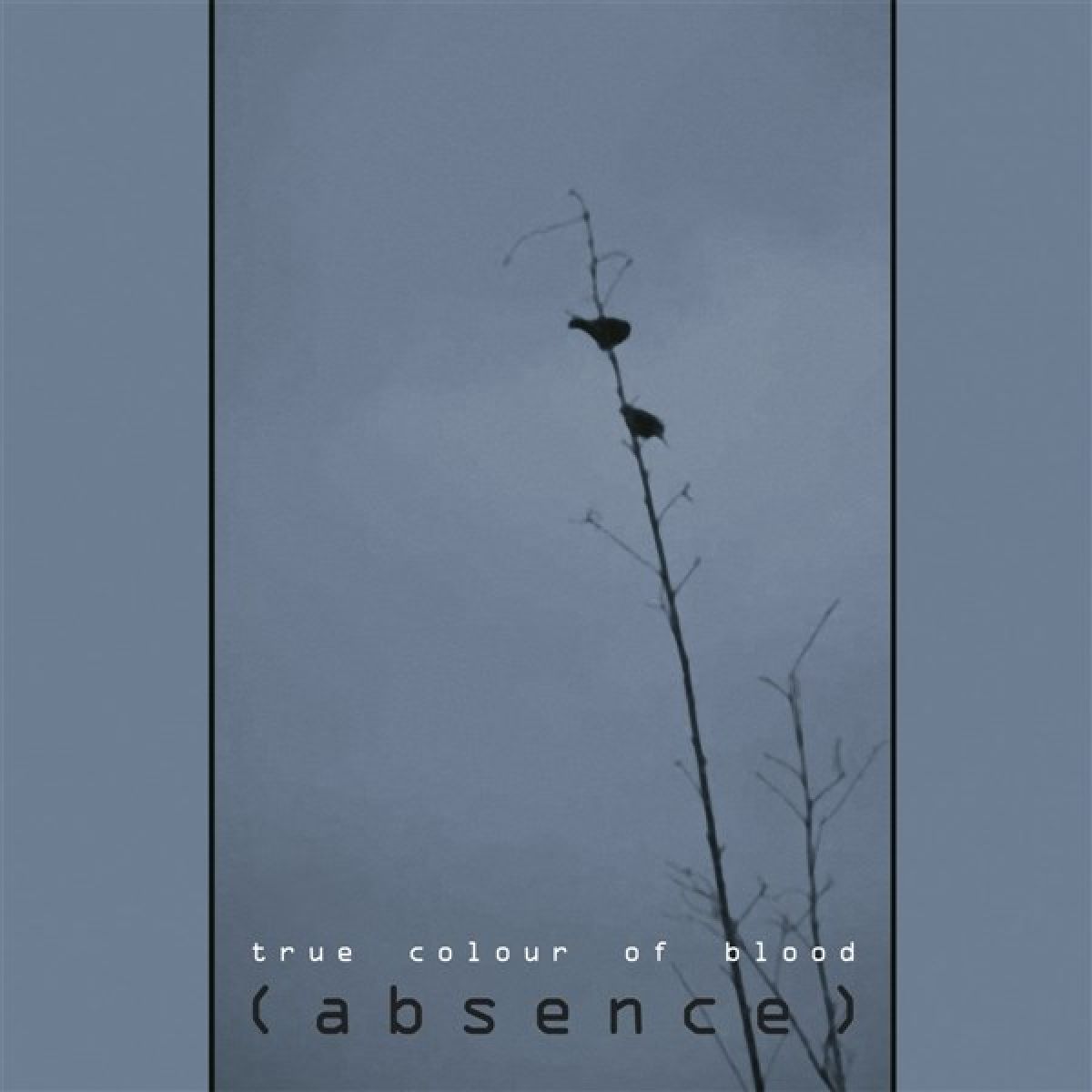 True Color Of Blood - (Absence)