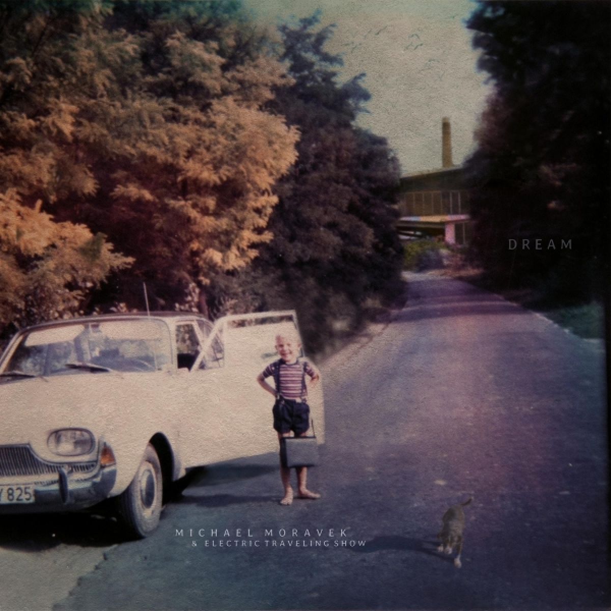 Afbeelding van Michael Moravek - Dream