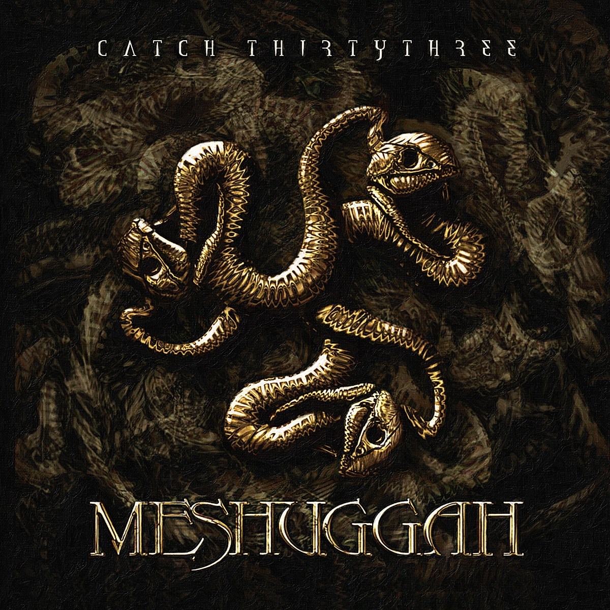 Afbeelding van Meshuggah - Catch Thirty Three