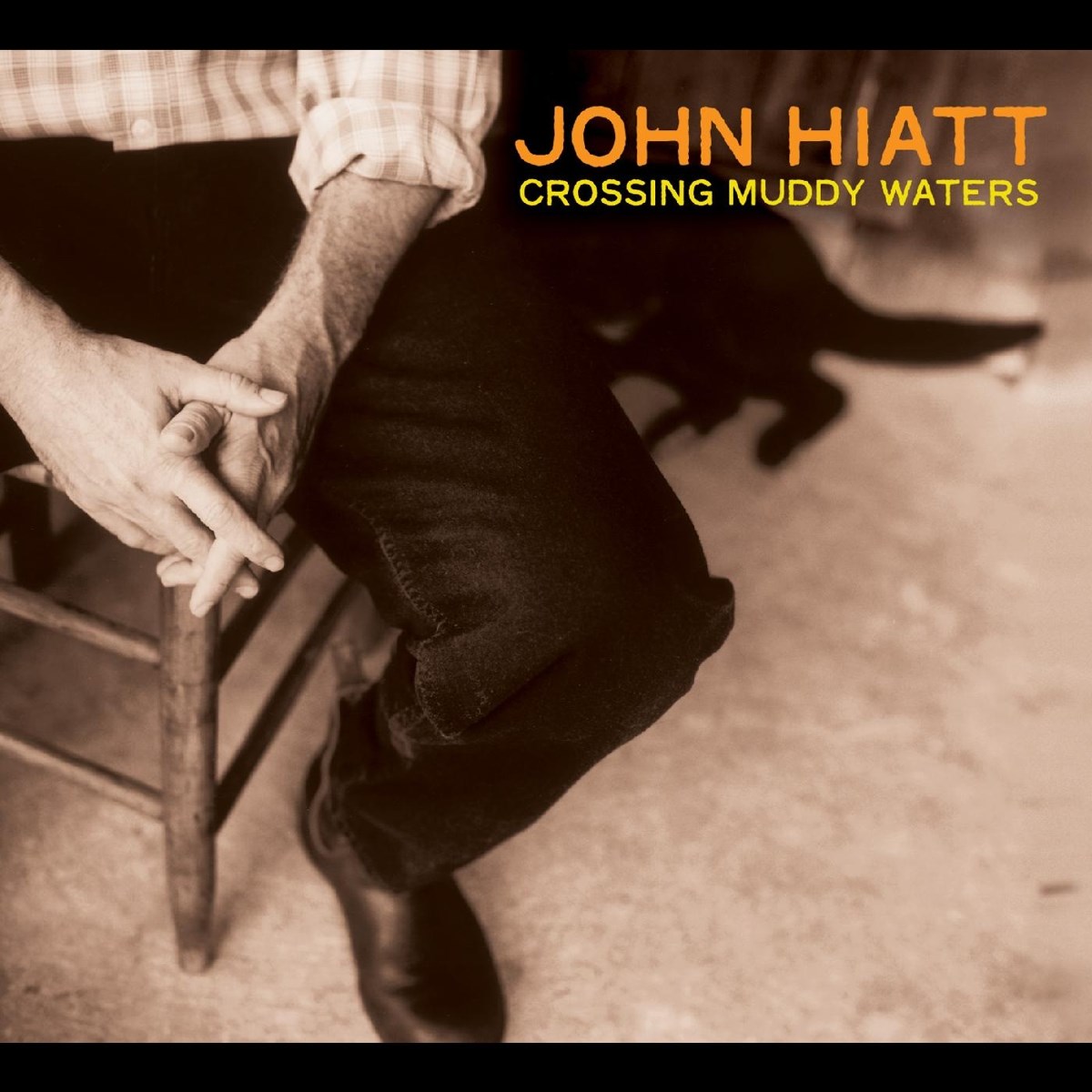 Afbeelding van John Hiatt - Crossing Muddy Waters