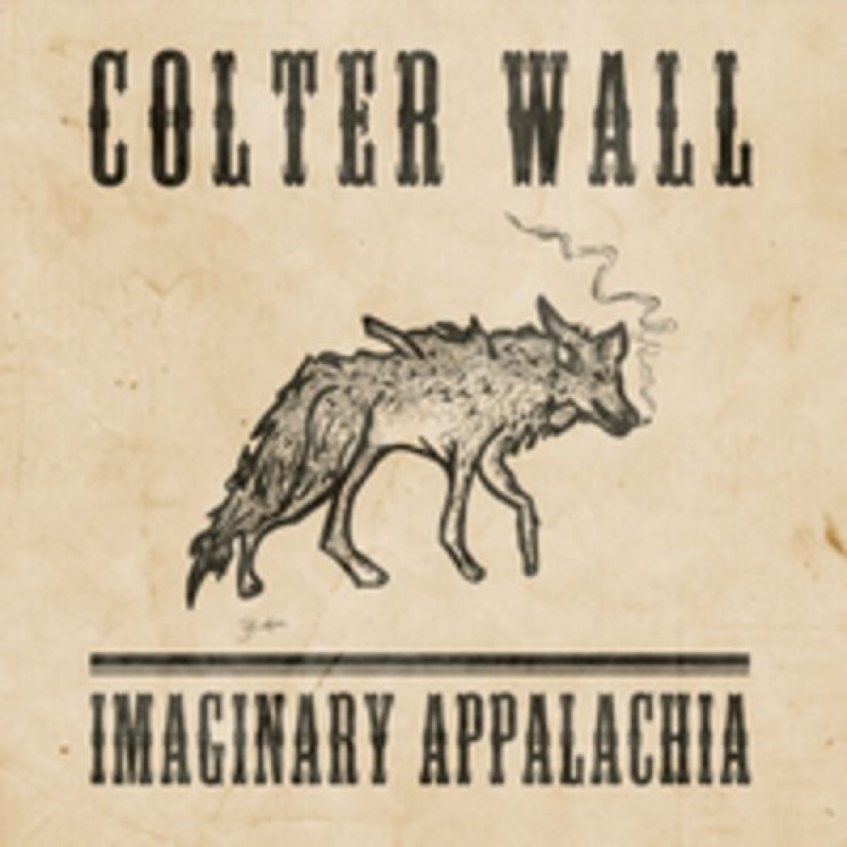 Afbeelding van Colter Wall - Imaginary Appalachia (Anniversary Edition)