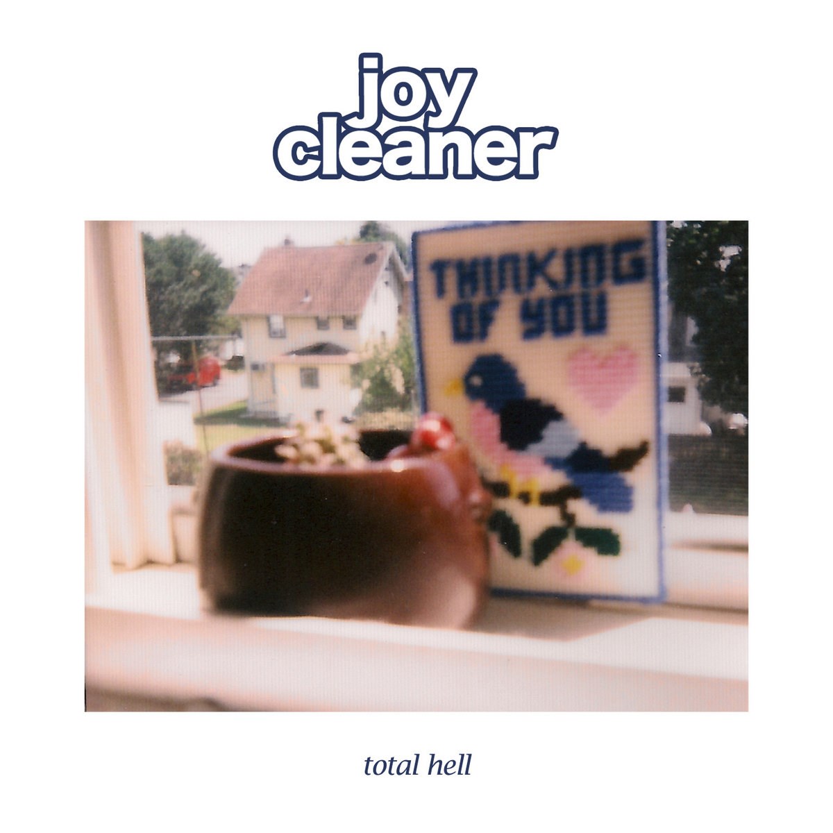 Afbeelding van Joy Cleaner - Total Hell