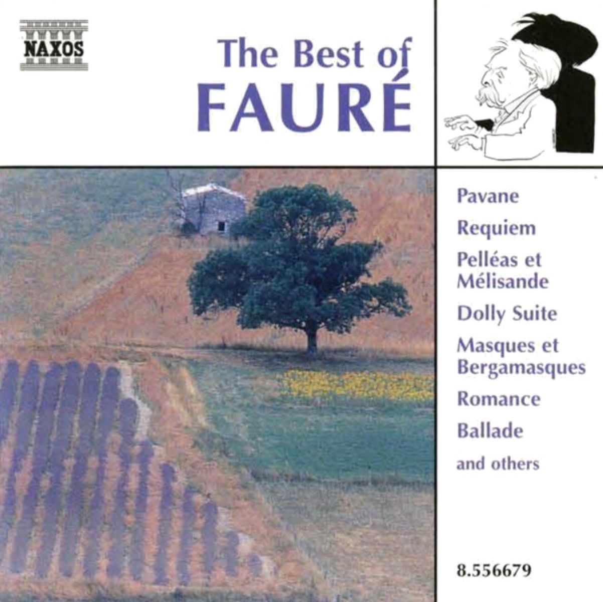 Afbeelding van Various Artists - The Best Of Fauré