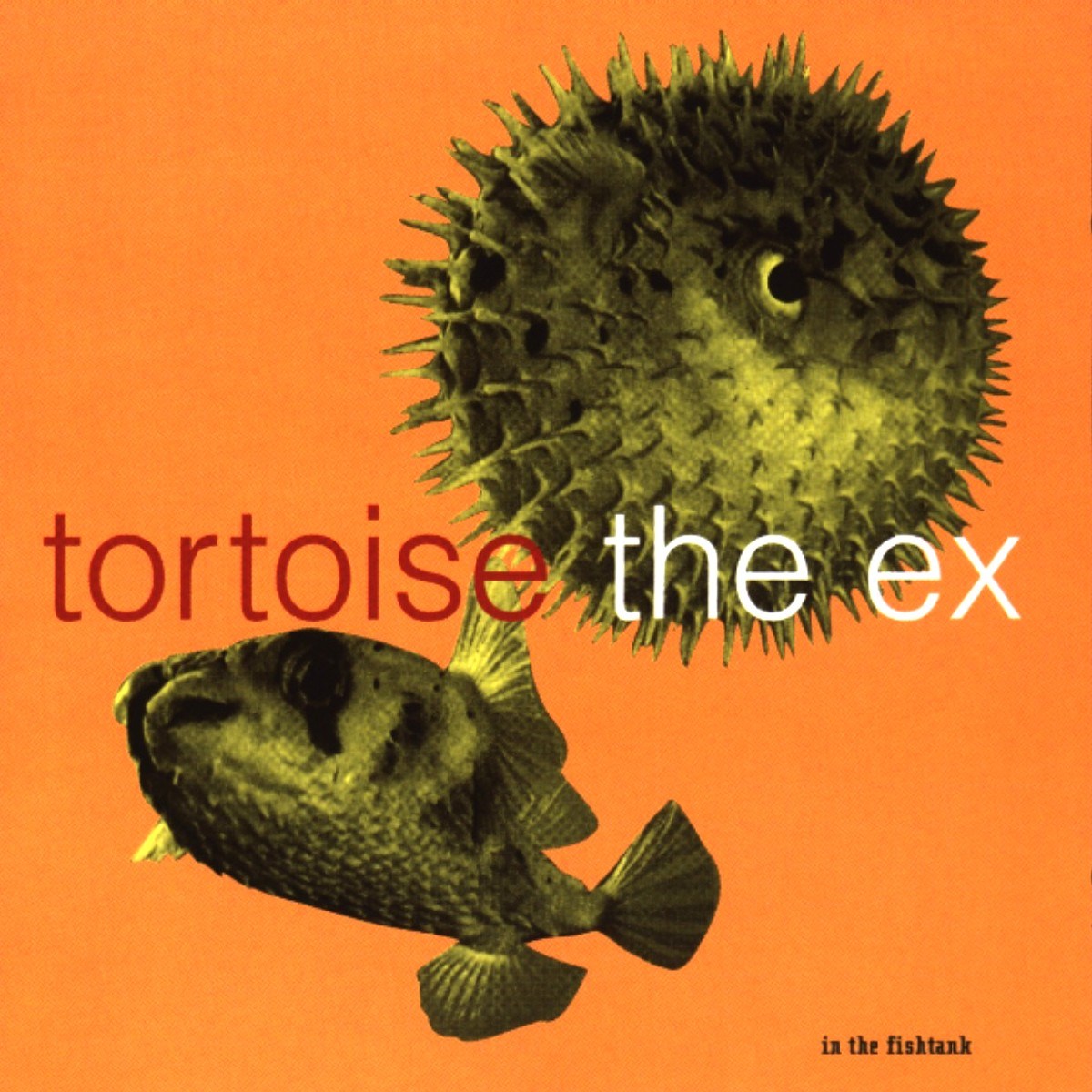 Afbeelding van Tortoise + The Ex - In The Fishtank