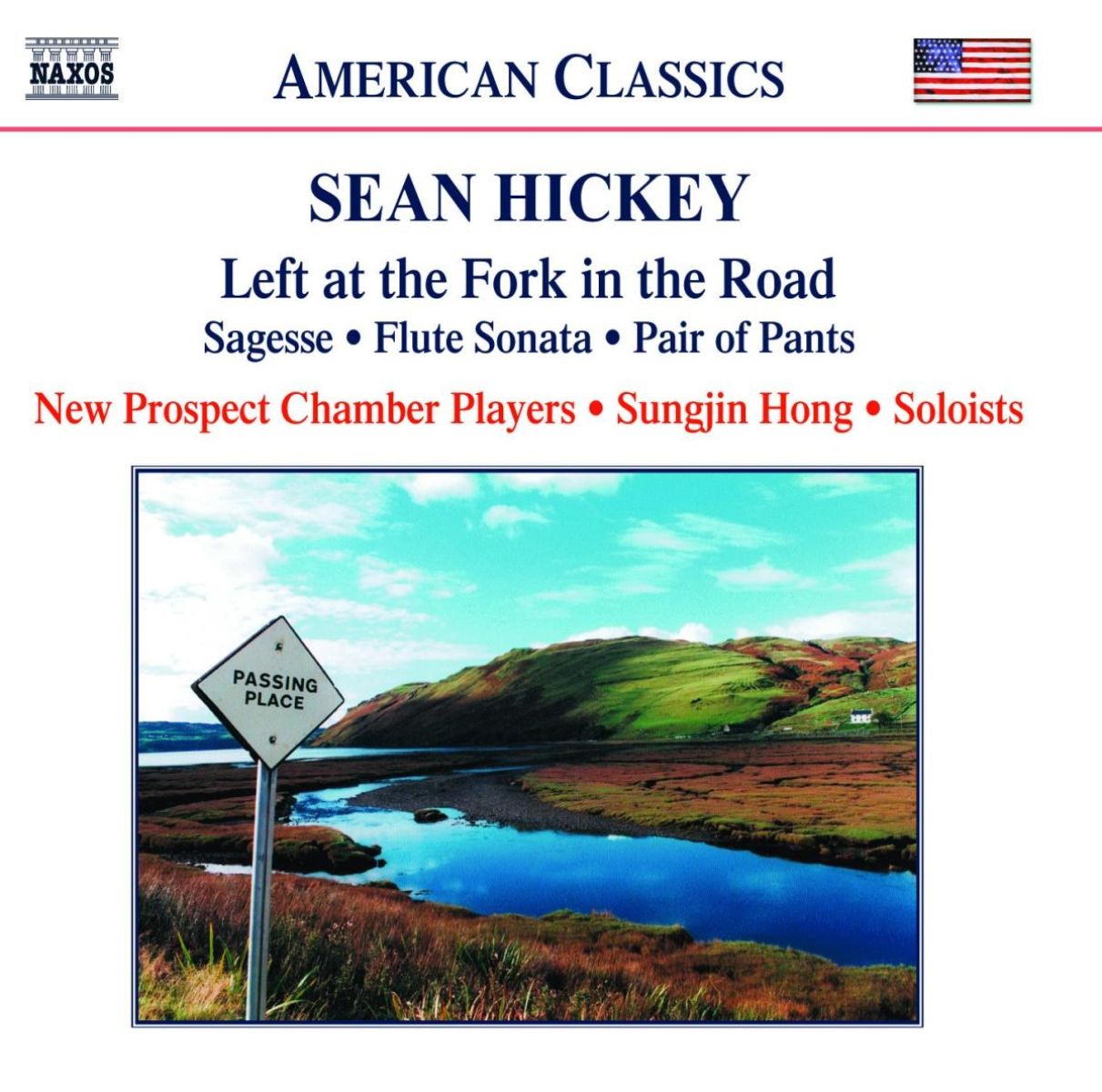 Afbeelding van New Prospect Chamber Players, Sungjin Hong - Hickey: Left At The Fork In The Road - Sagesse - Flute Sonata - Pair Of Pants
