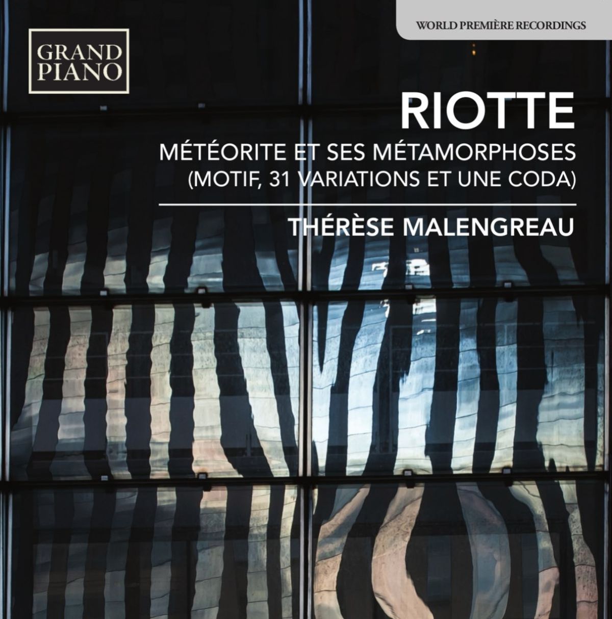 Afbeelding van Thérèse Malengreau - Riotte: Météorite Et Ses Métamorphoses (Motif, 31 Variations Et Une Coda)