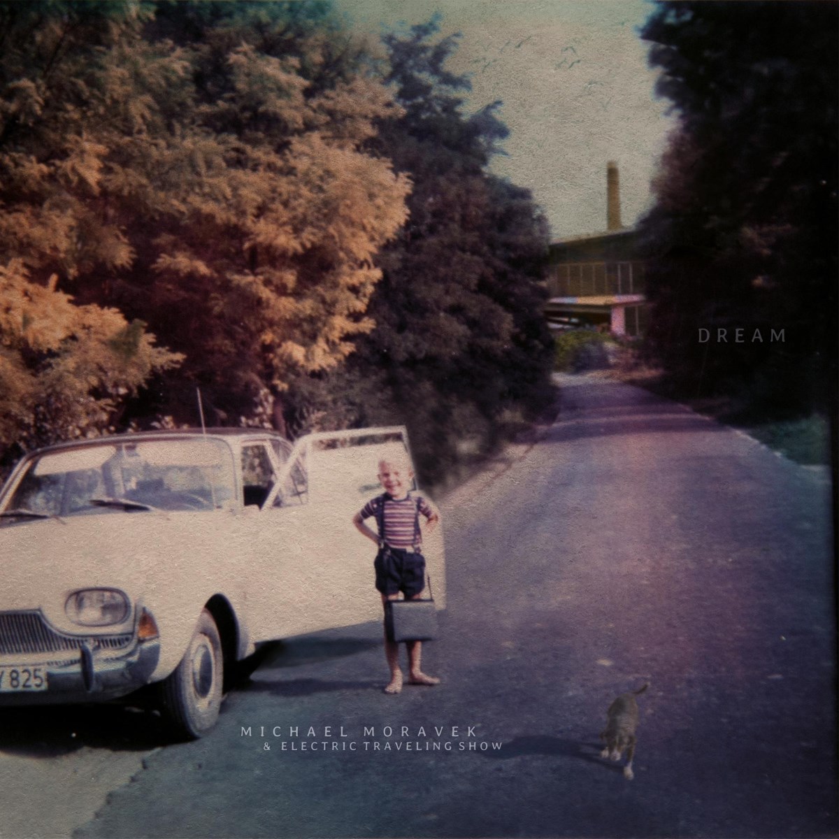 Afbeelding van Michael Moravek - Dream