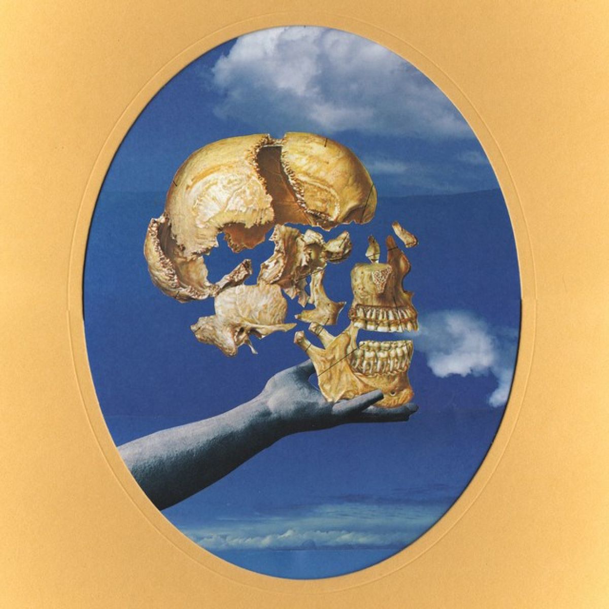 Afbeelding van Sun Angle - Skullflower