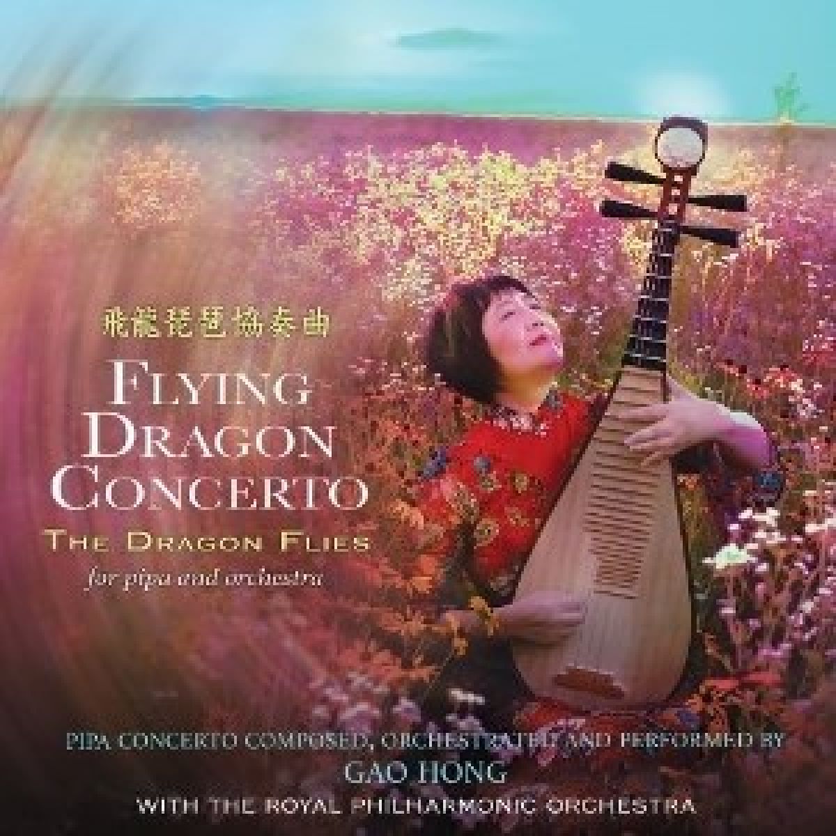 Afbeelding van Gao Hong - Symphony Of Self