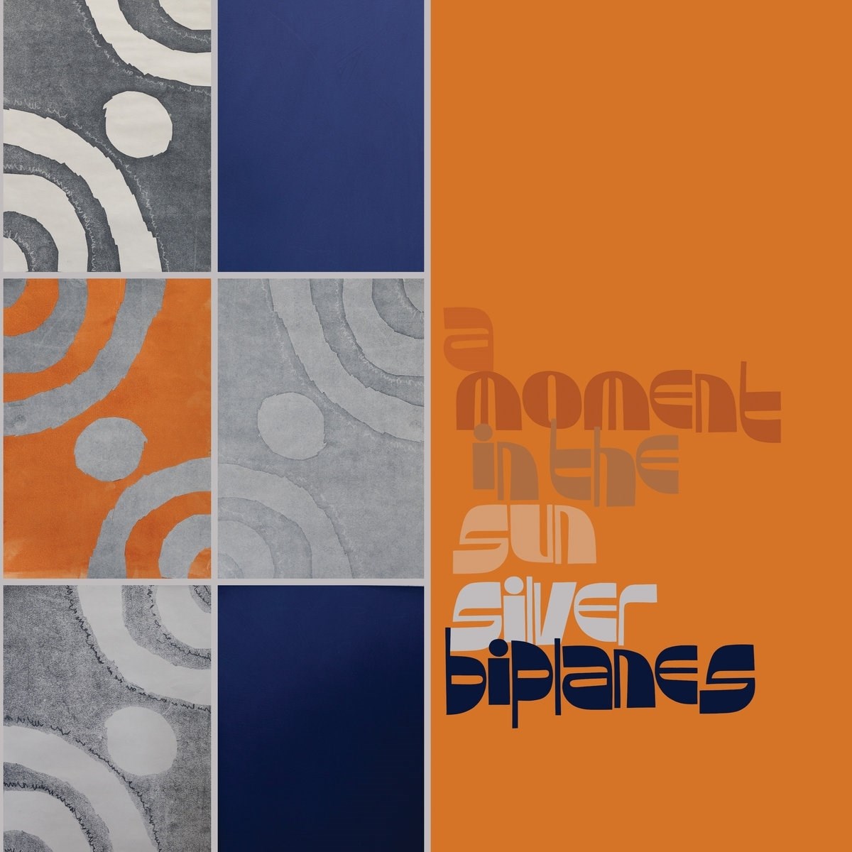 Afbeelding van Silver Biplanes - A Moment In The Sun