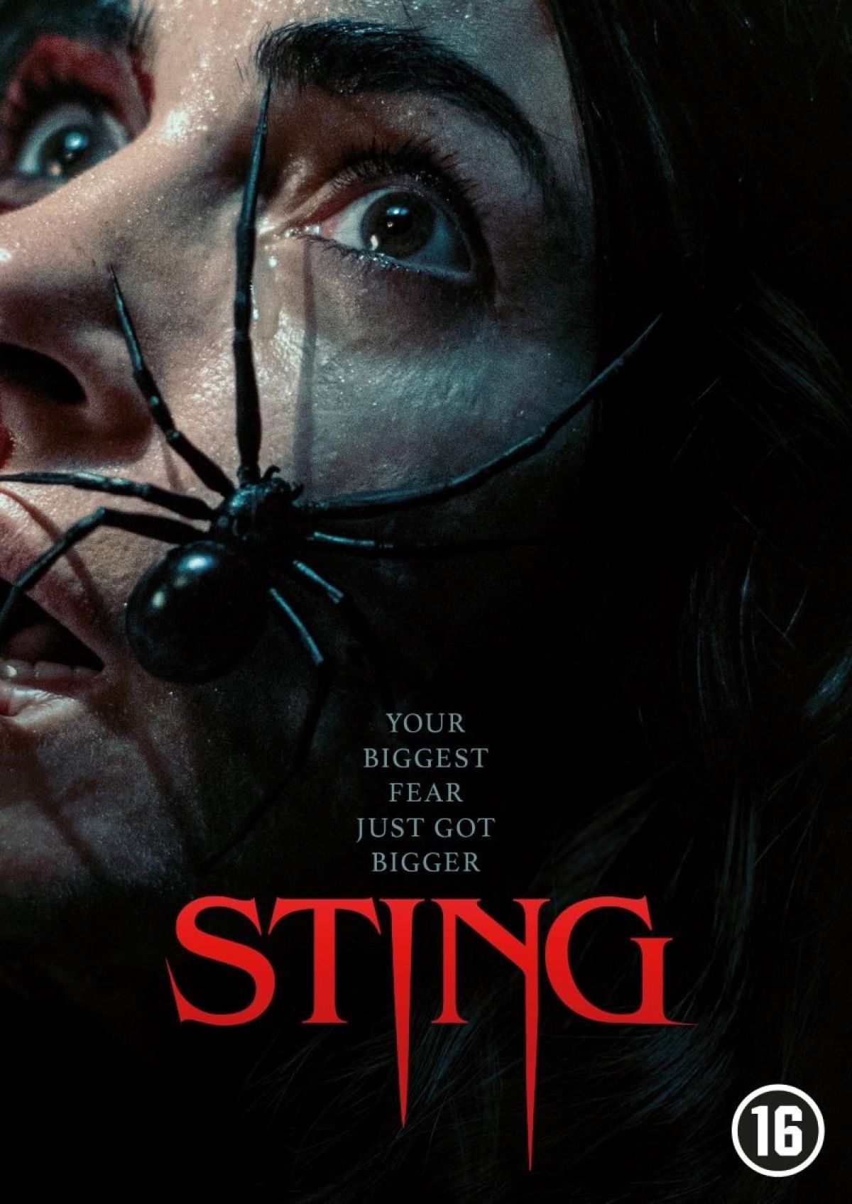 Sting