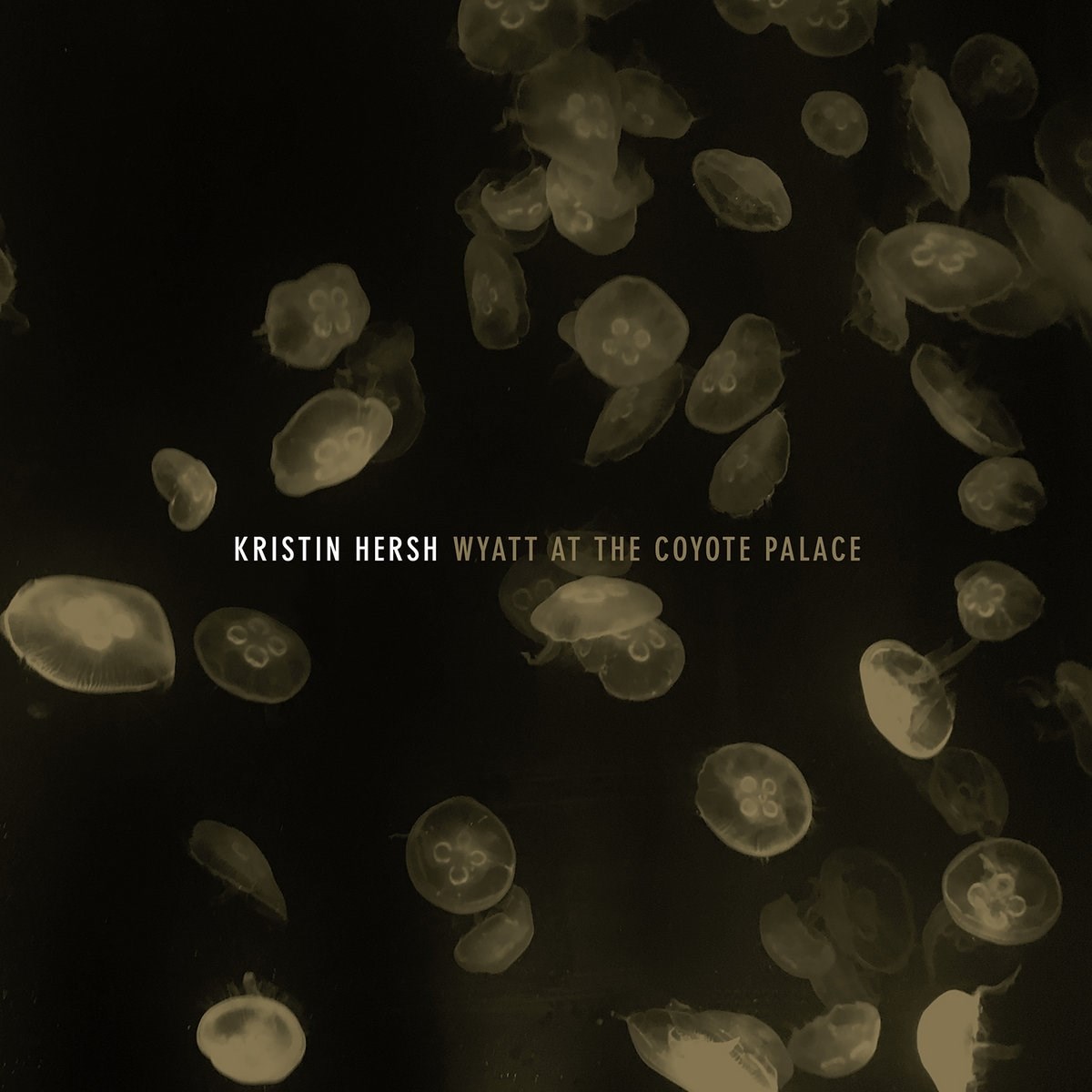 Afbeelding van Kristin Hersh - Wyatt At The Coyote Palace