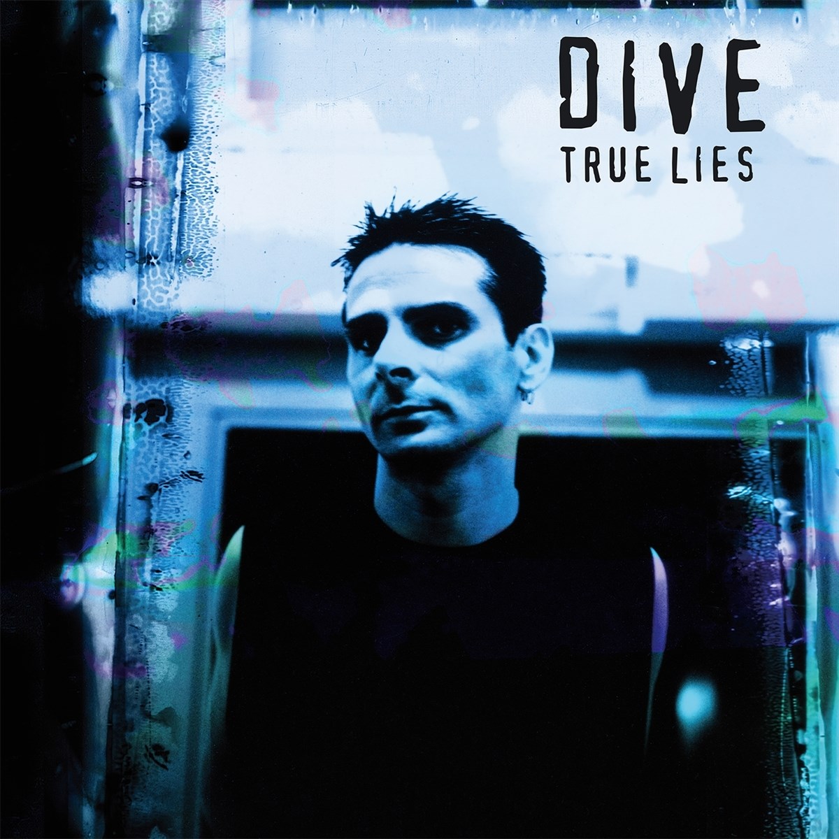 Afbeelding van Dive - True Lies