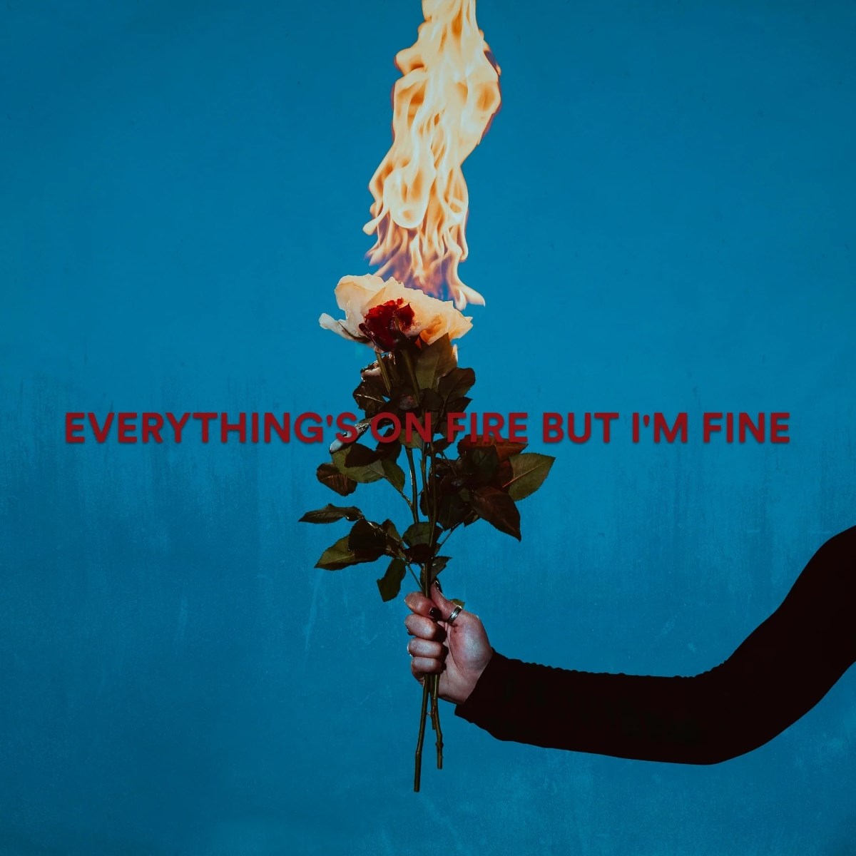 Afbeelding van As December Falls - Everything's On Fire But I'm Fine