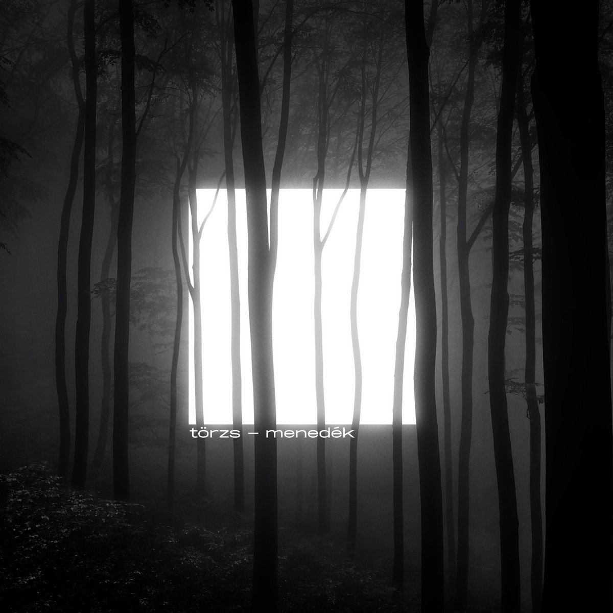 Torzs - Menedek