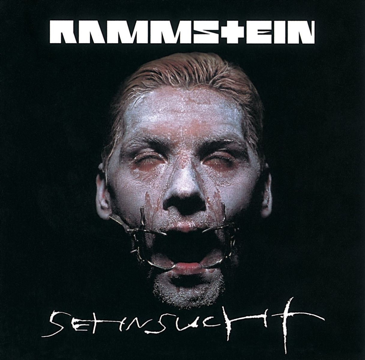 Afbeelding van Rammstein - Sehnsucht