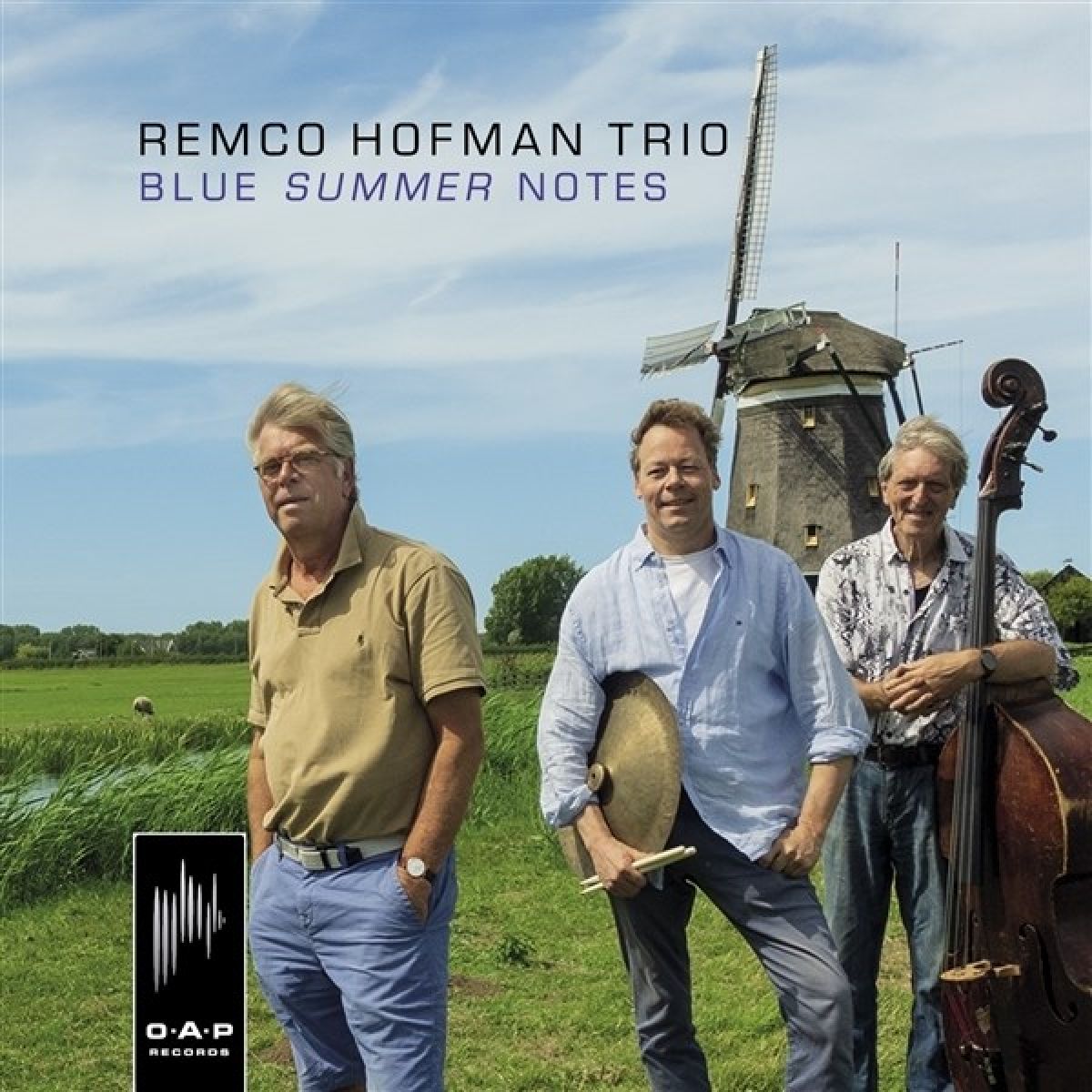 Afbeelding van Remco Hofman Trio - Blue Summer Notes