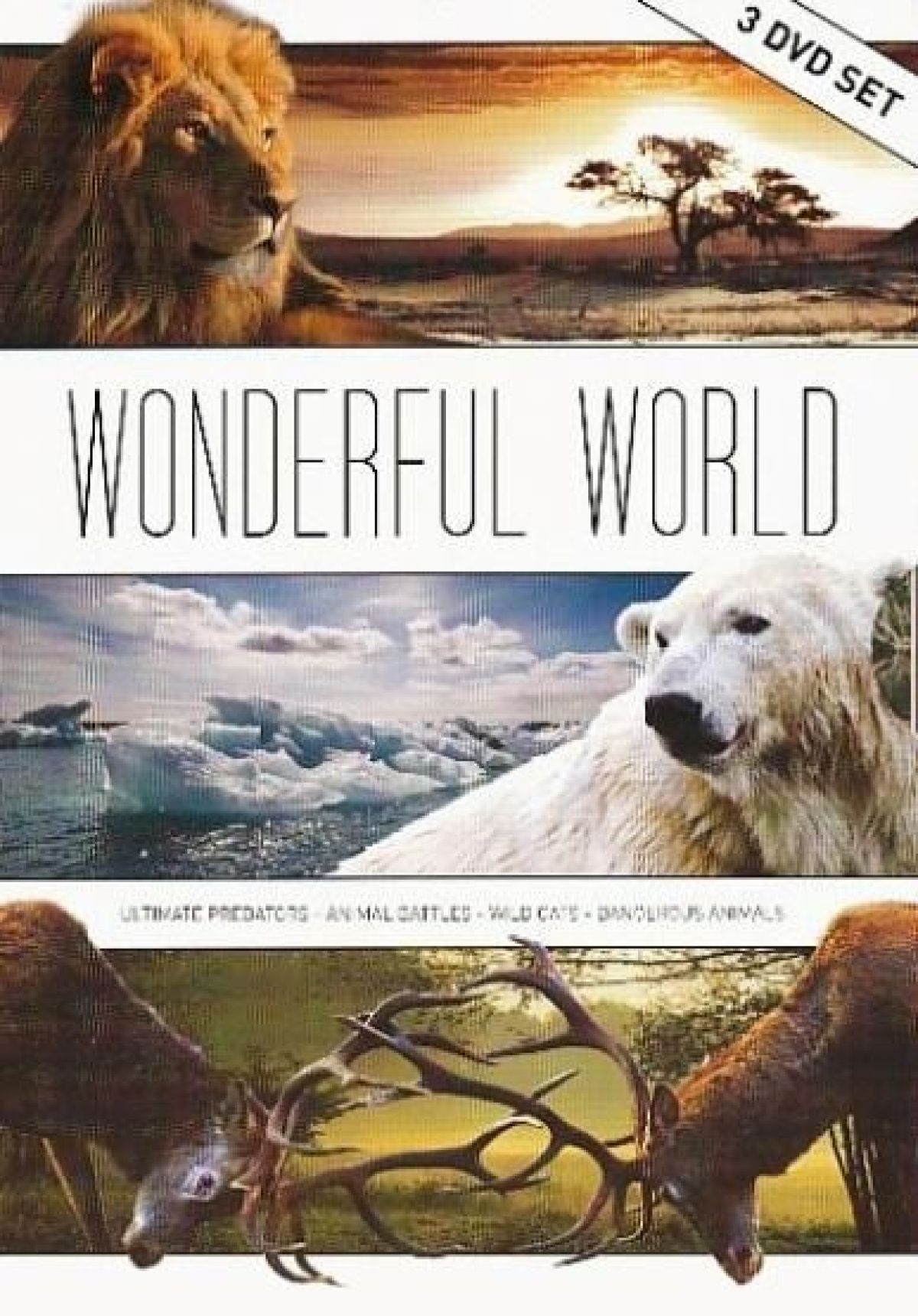 Wonderful World Box