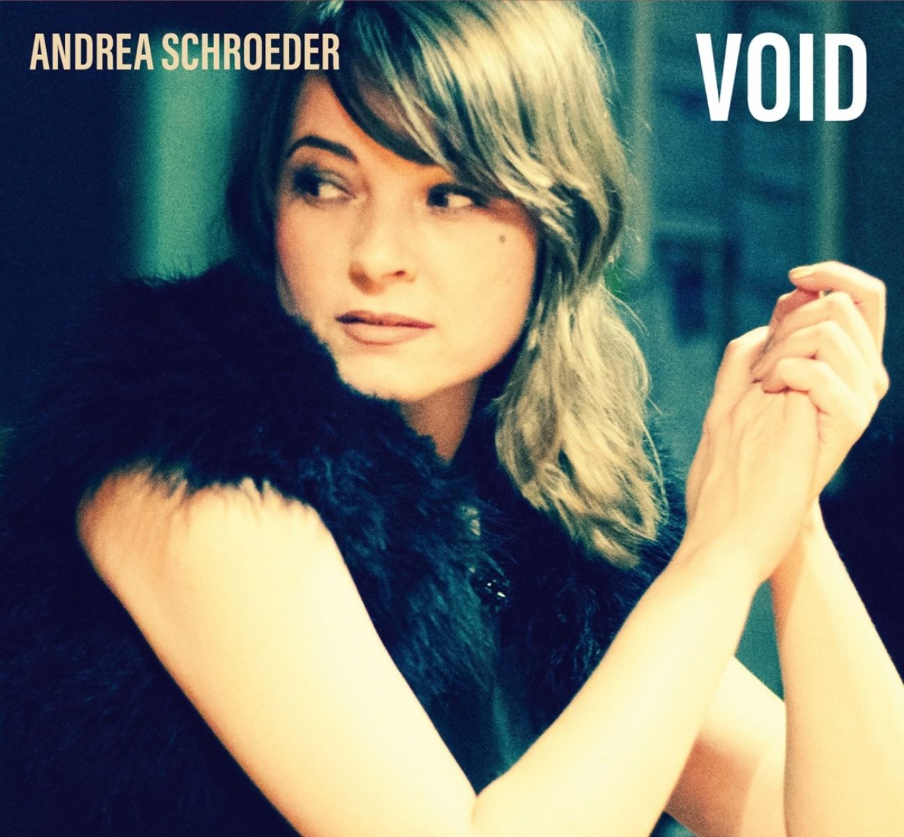 Afbeelding van Andrea Schroeder - Void