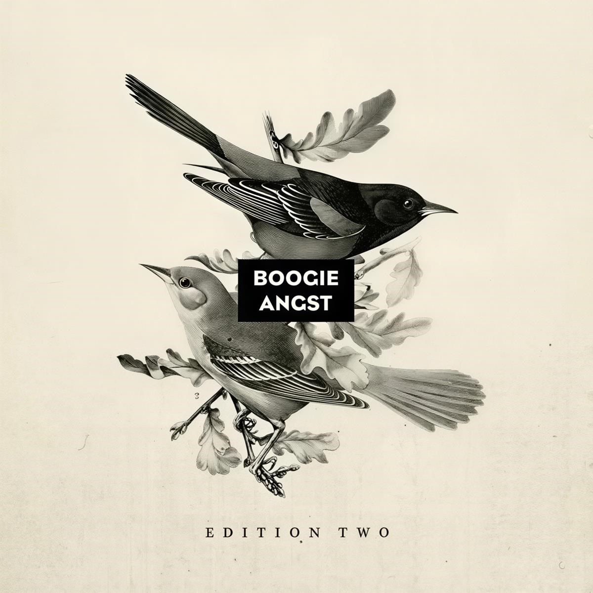 Afbeelding van Various Artists - Boogie Angst - Edition 2