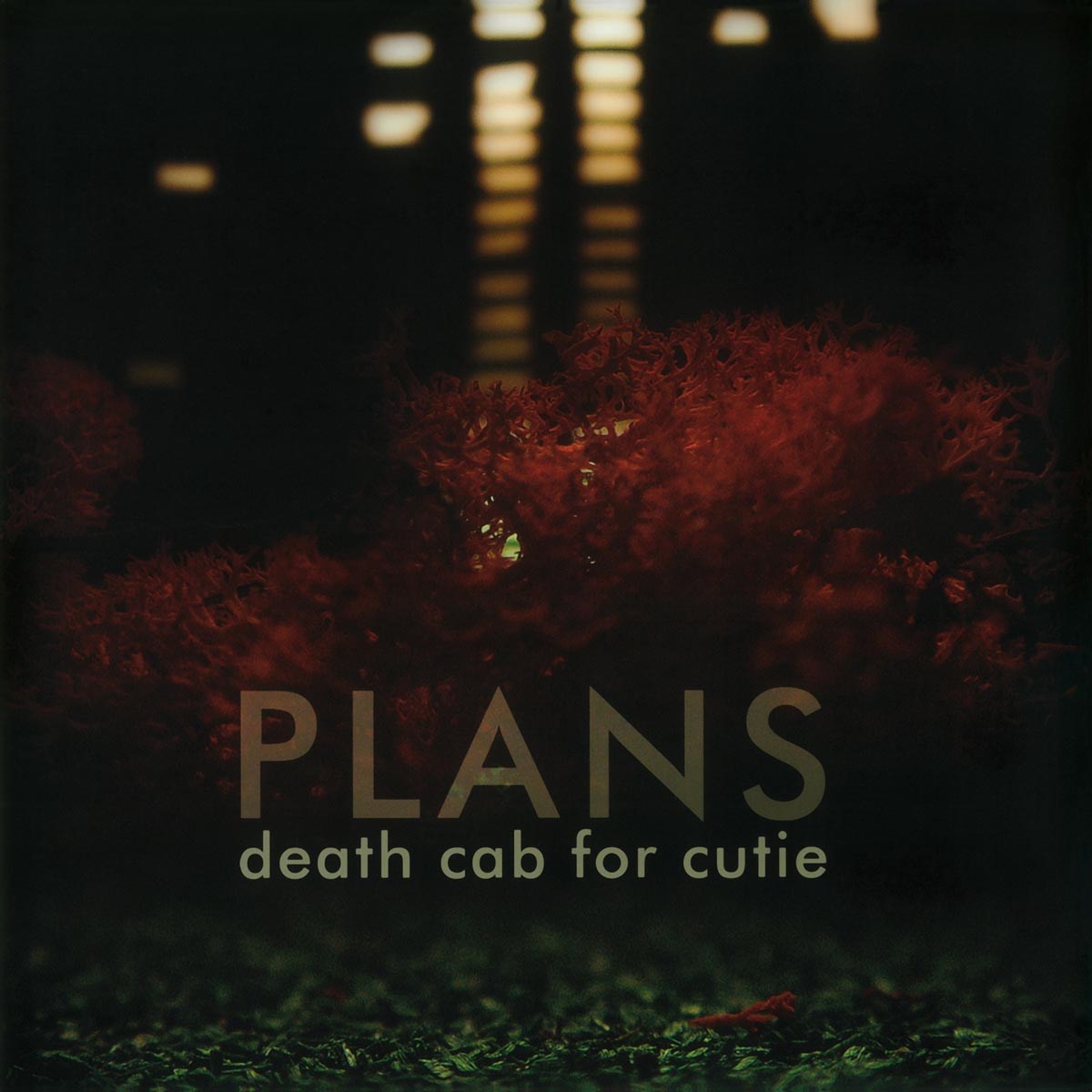 Afbeelding van Death Cab For Cutie - Plans