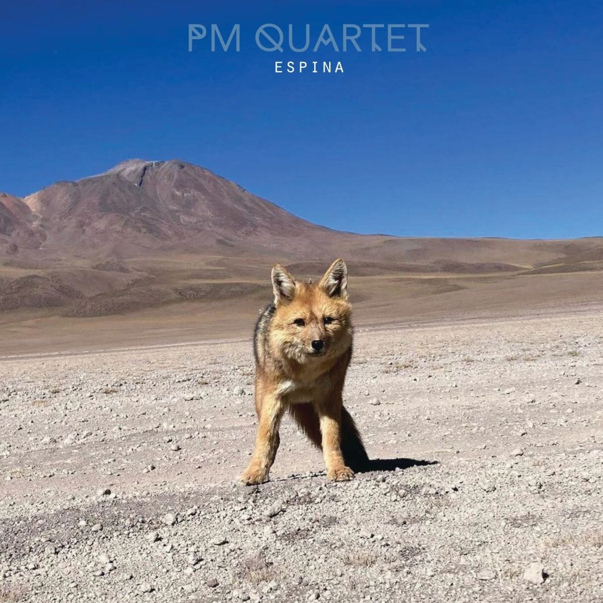 Afbeelding van Pierre Martinet Quartet - Espina
