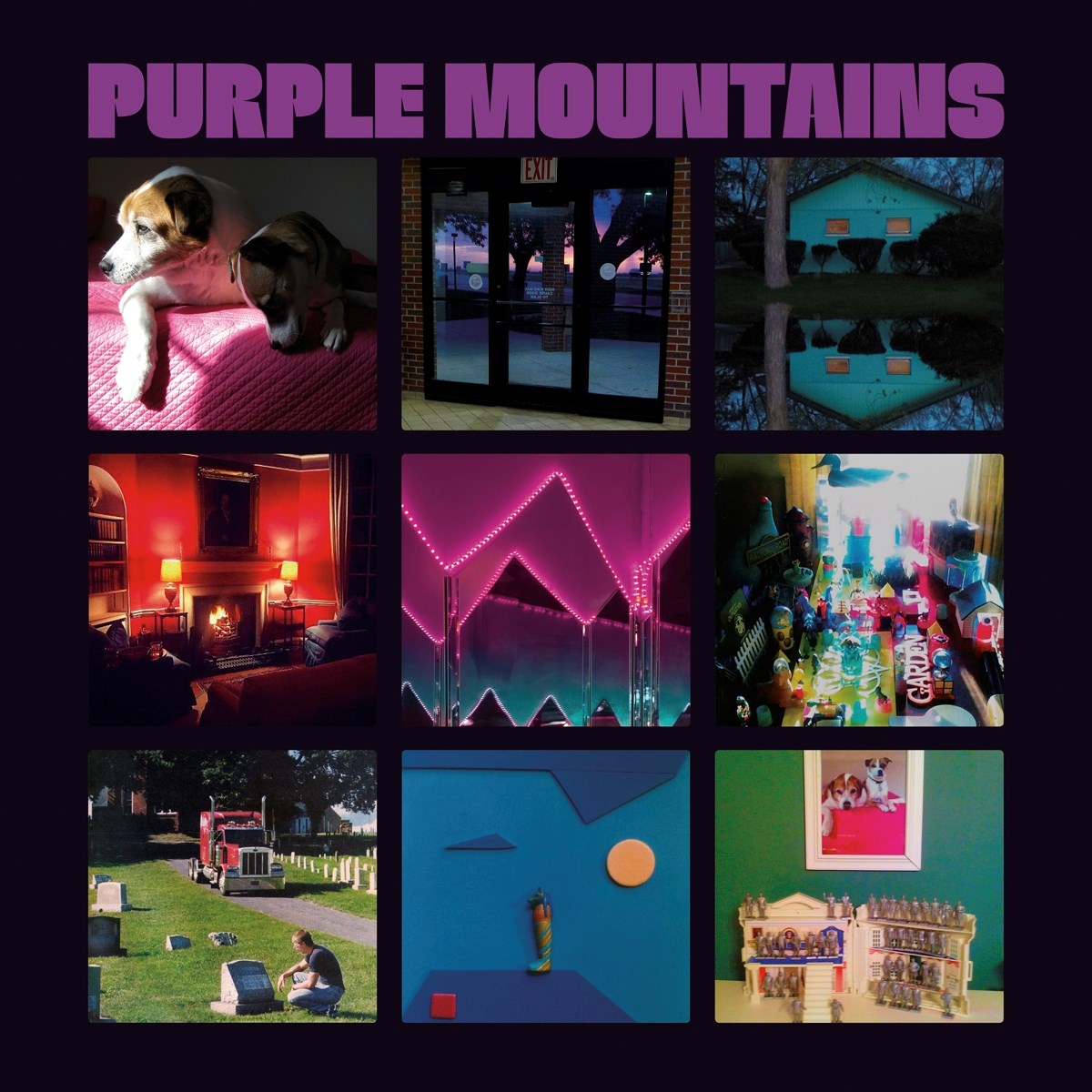 Afbeelding van Purple Mountains - Purple Mountains