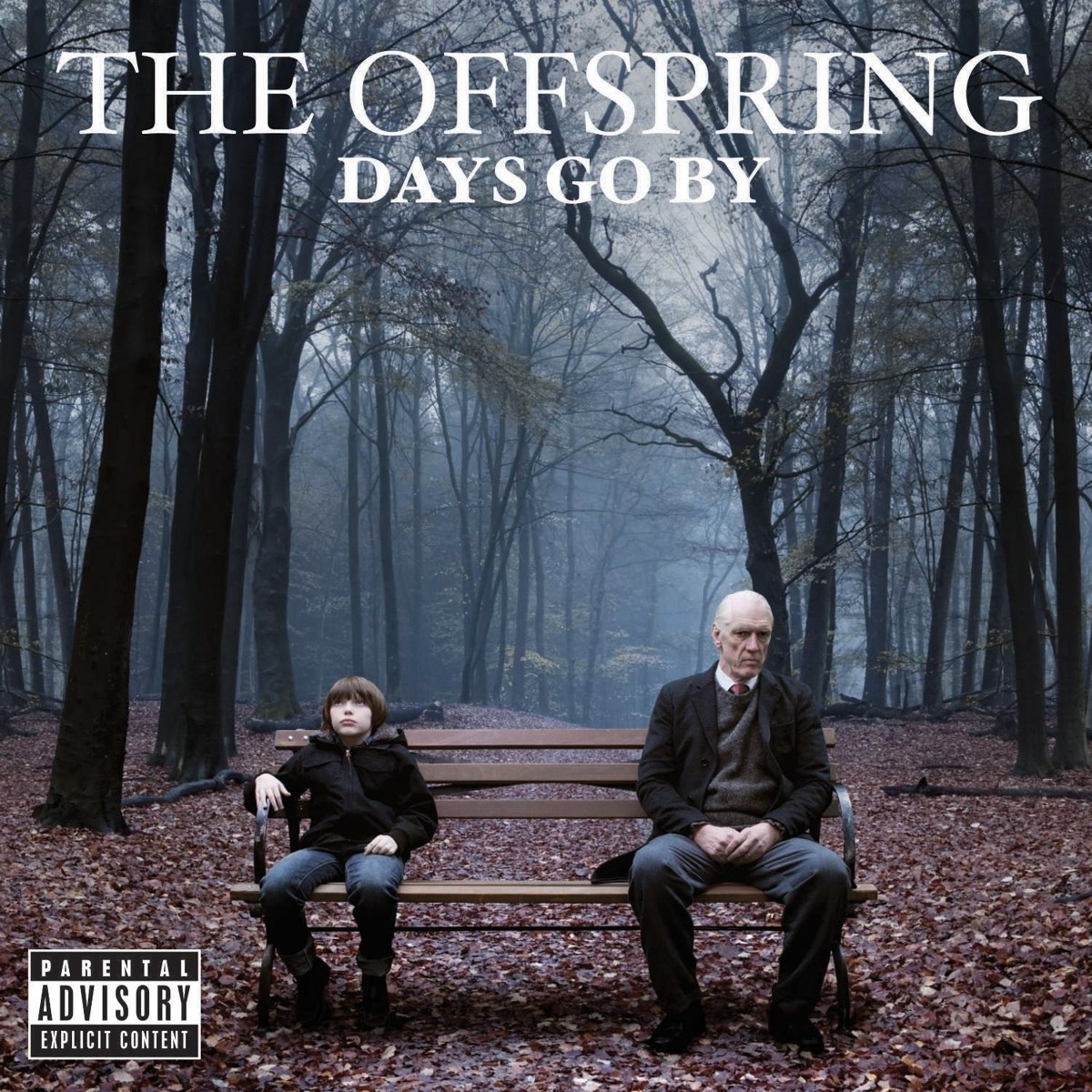 Afbeelding van The Offspring - Days Go By