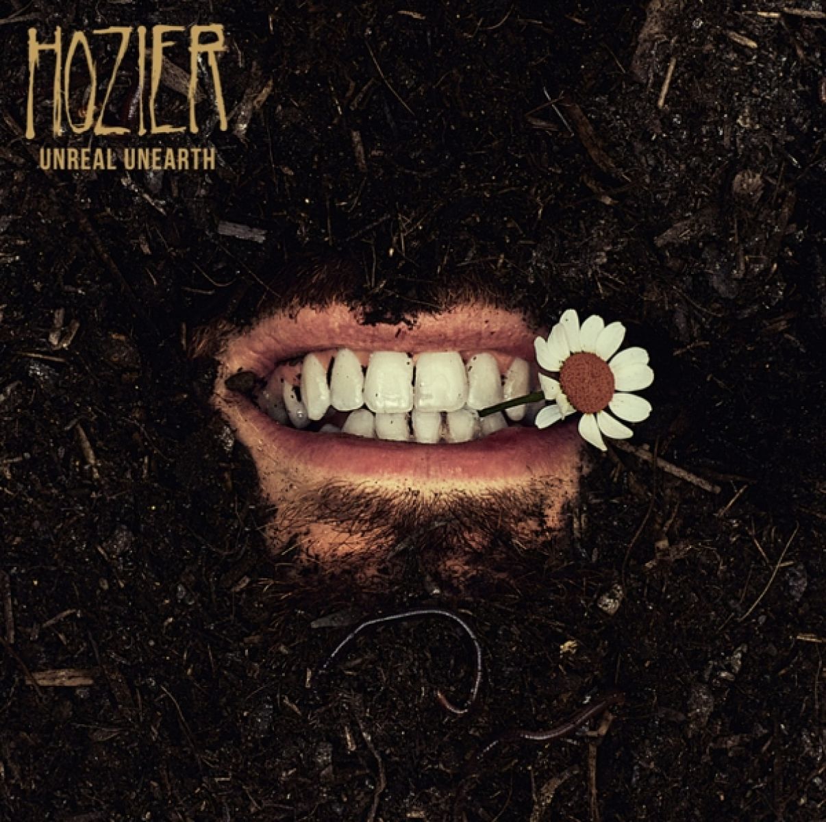 Afbeelding van Hozier - Unreal Unearth