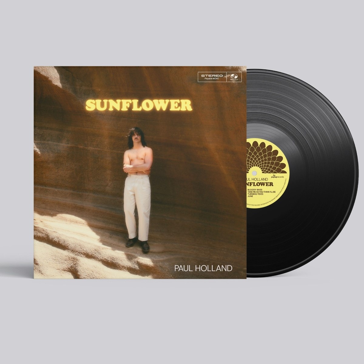 Afbeelding van Paul Holland - Sunflower