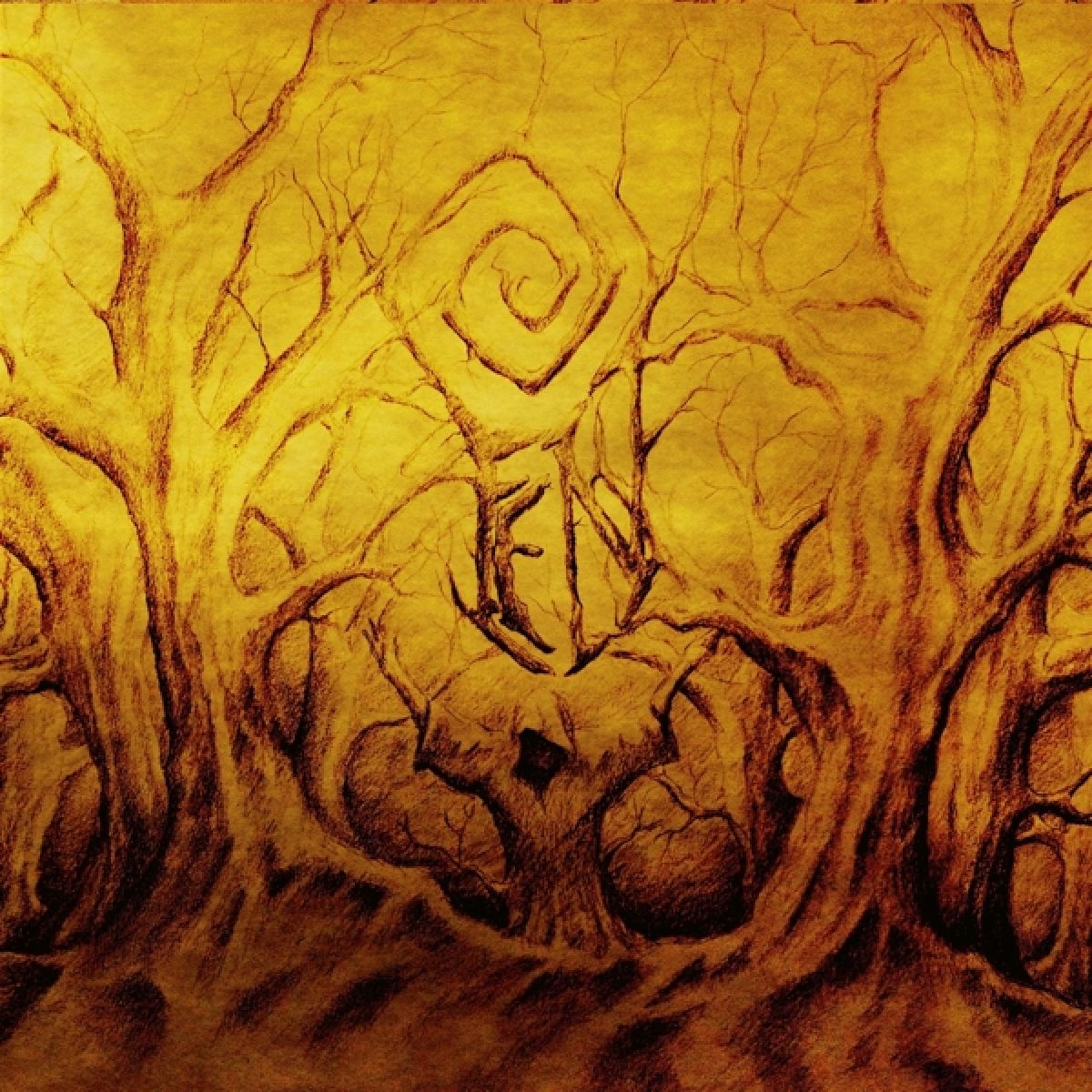 Afbeelding van Fen - The Malediction Fields