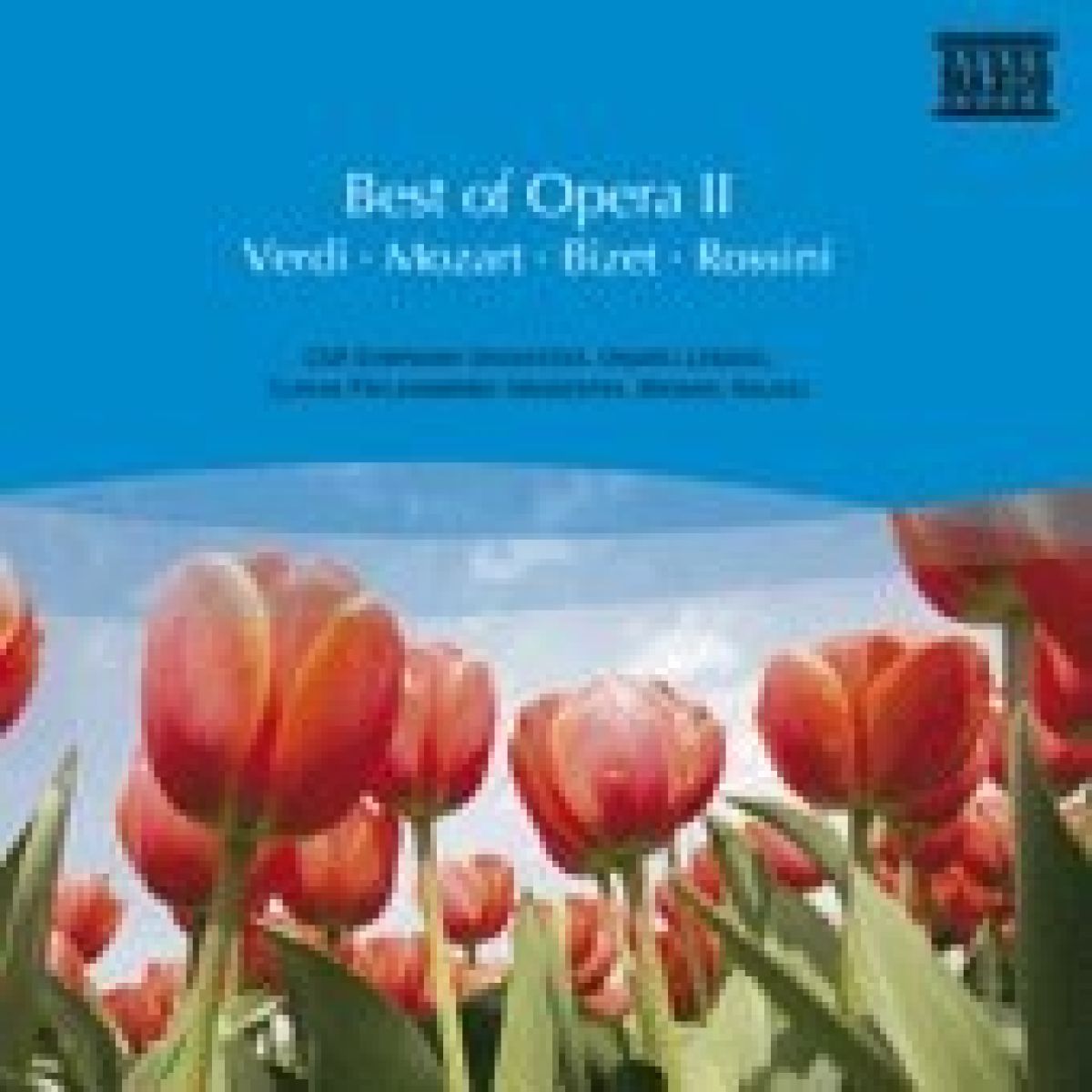 Various Artists - Best Of Opera II