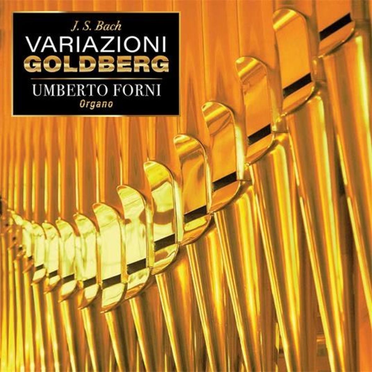 Afbeelding van Umberto Forni - J.S. Bach: Variazioni Goldberg