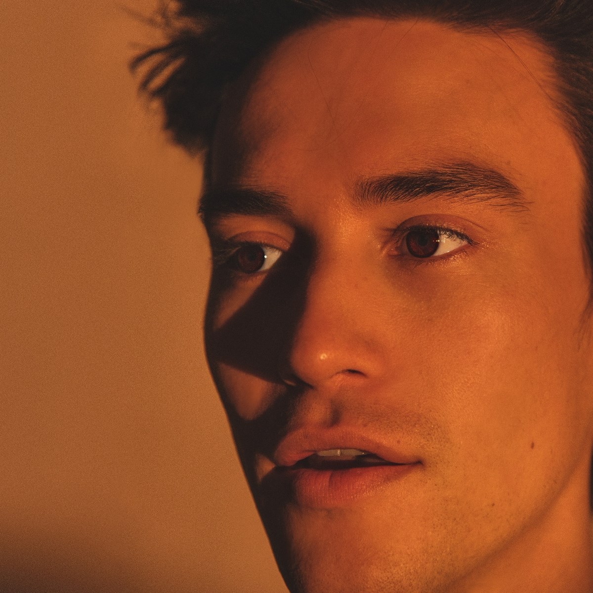 Afbeelding van Jacob Collier - The Light For Days