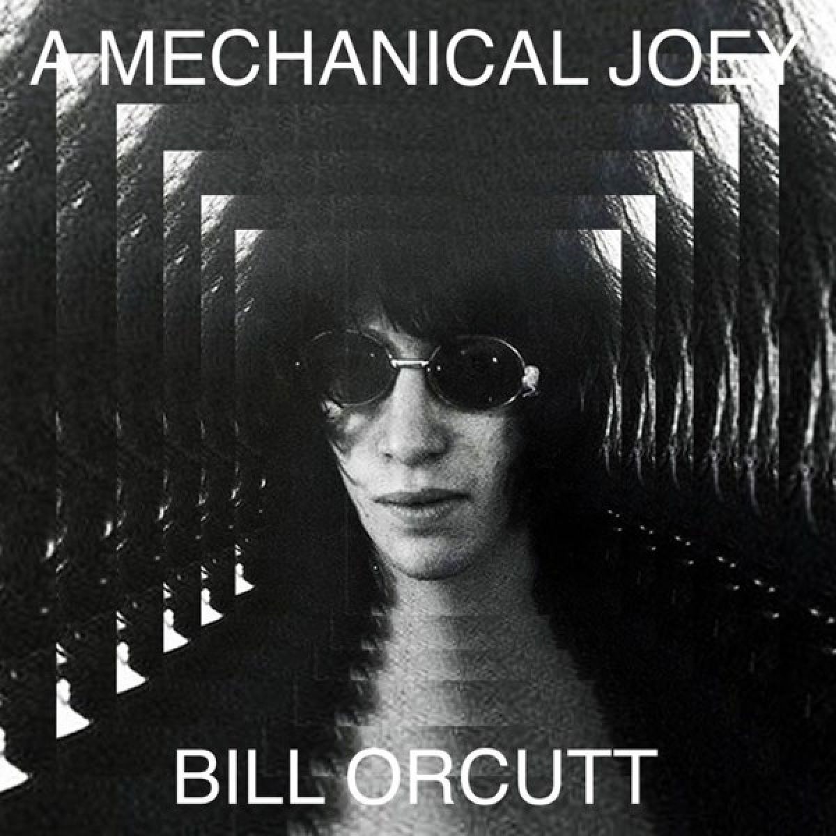 Afbeelding van Bill Orcutt - A Mechanical Joey
