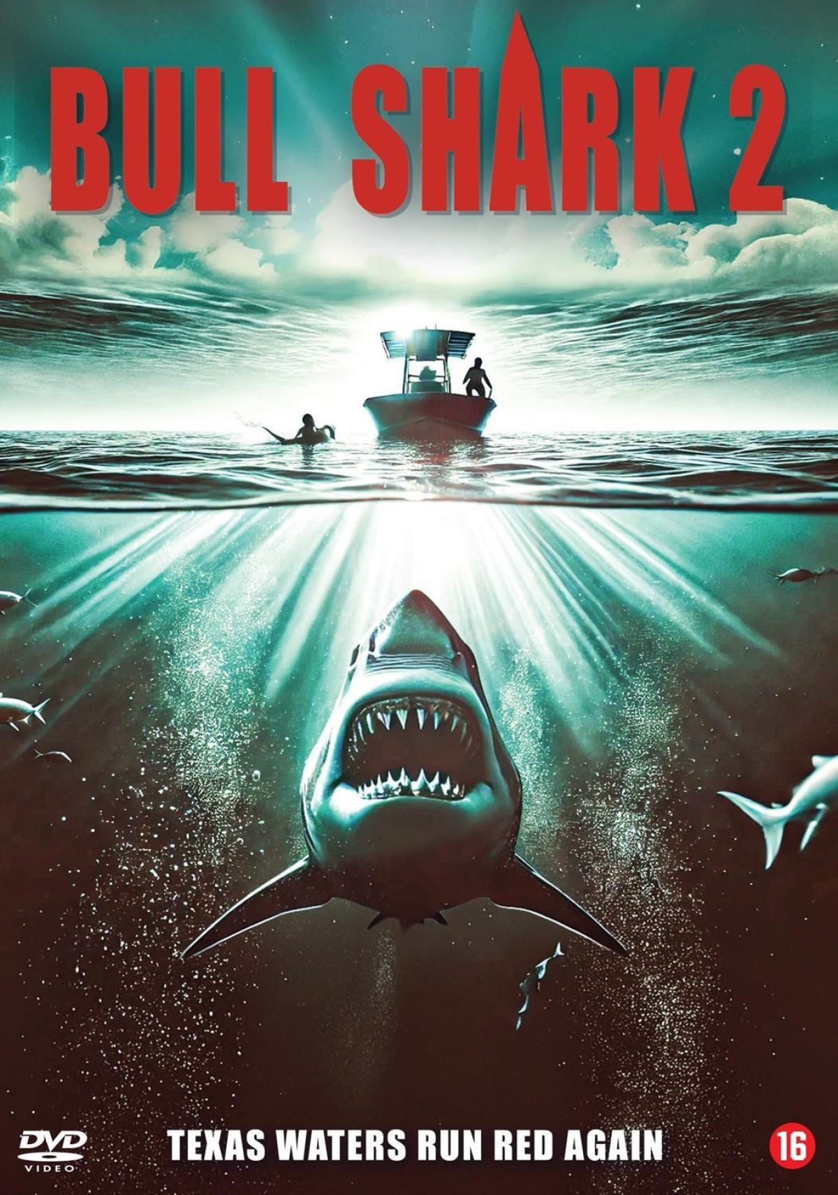 Afbeelding van Bull Shark 2