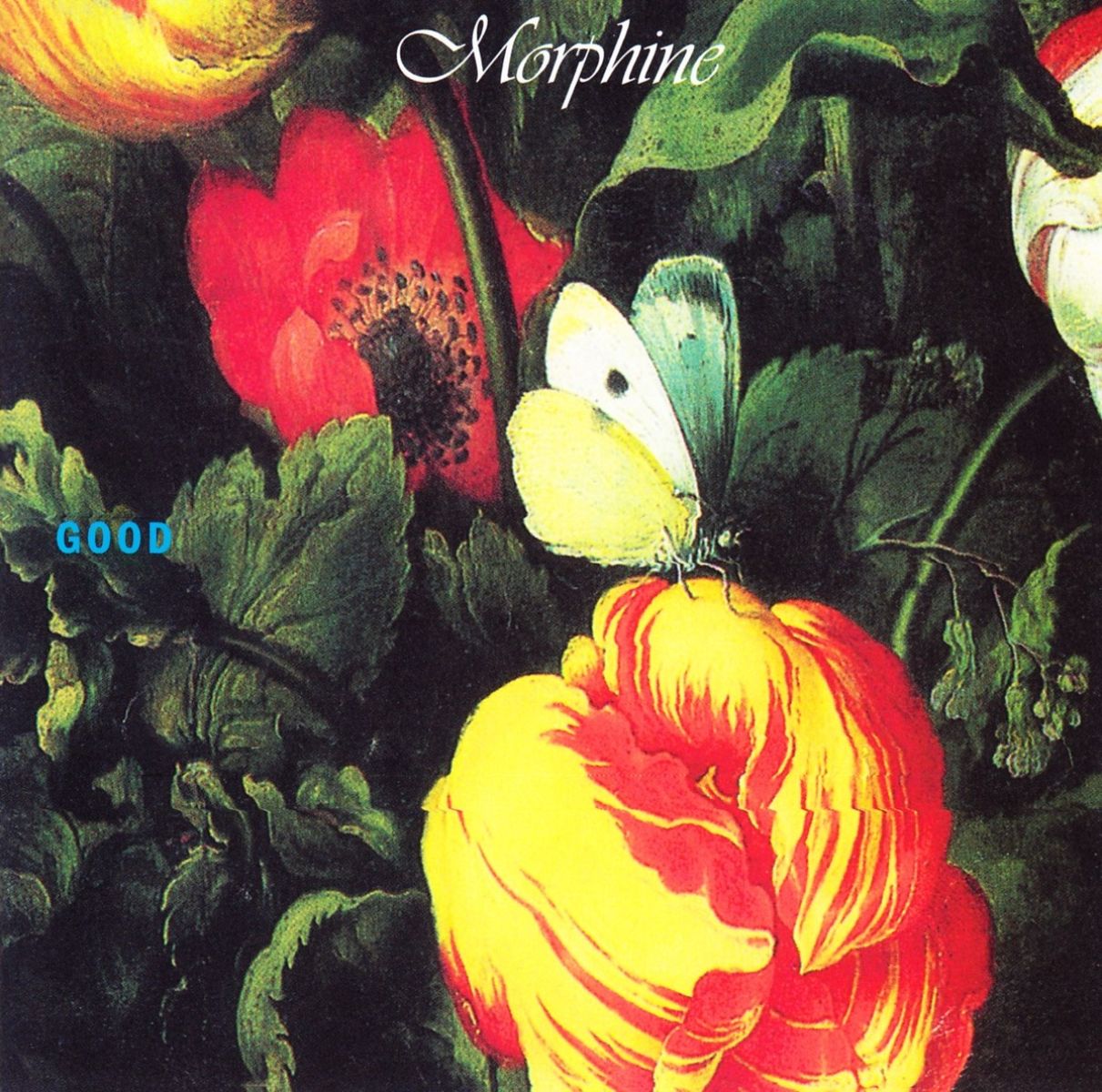 Afbeelding van Morphine - Good