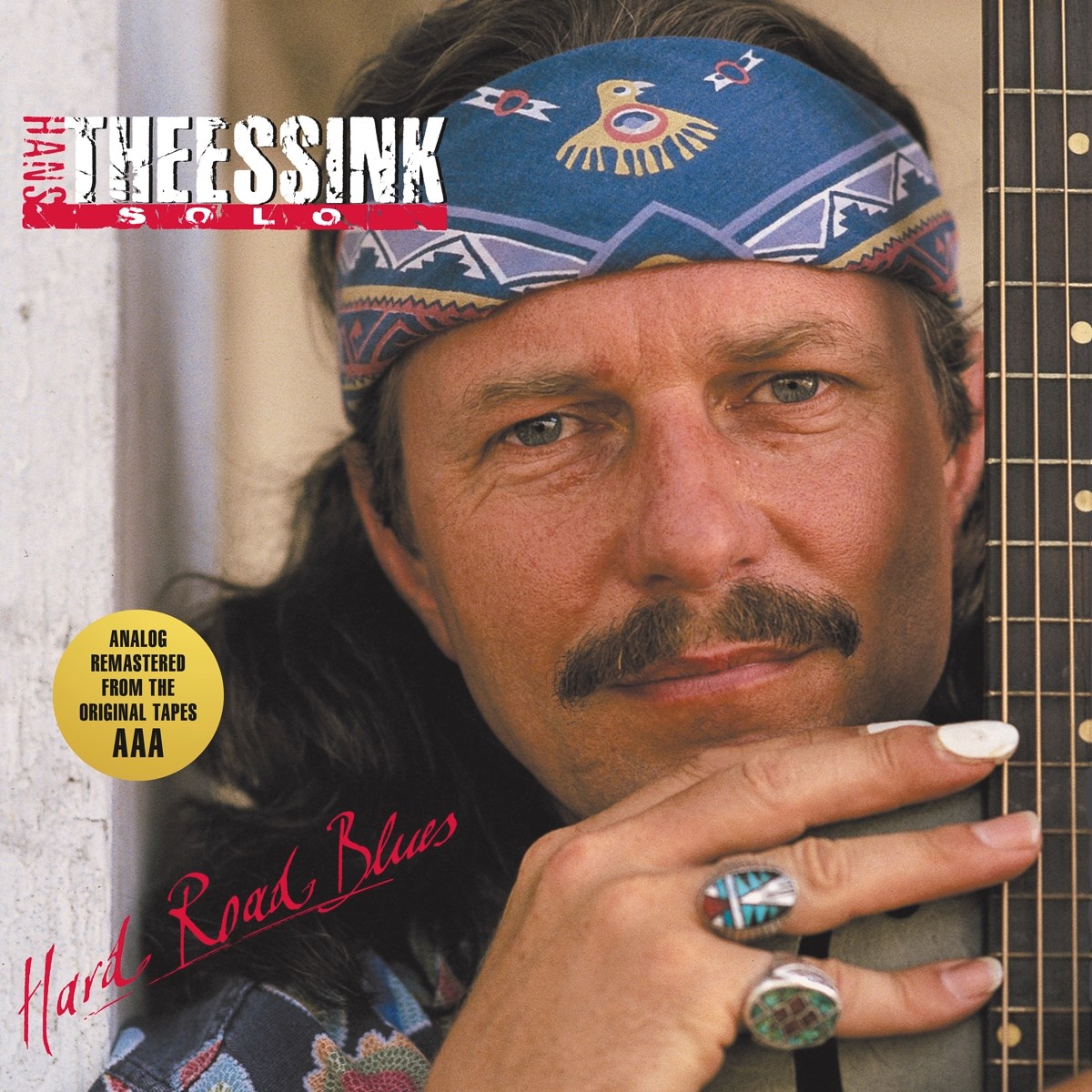 Afbeelding van Hans Theessink - Hard Road Blues