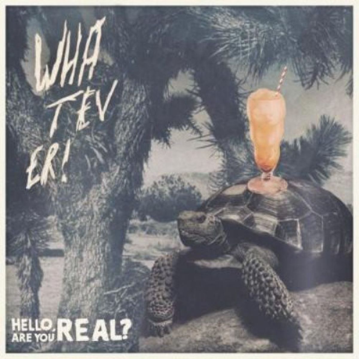 Afbeelding van Hello Are You Real / Aron Dalesio