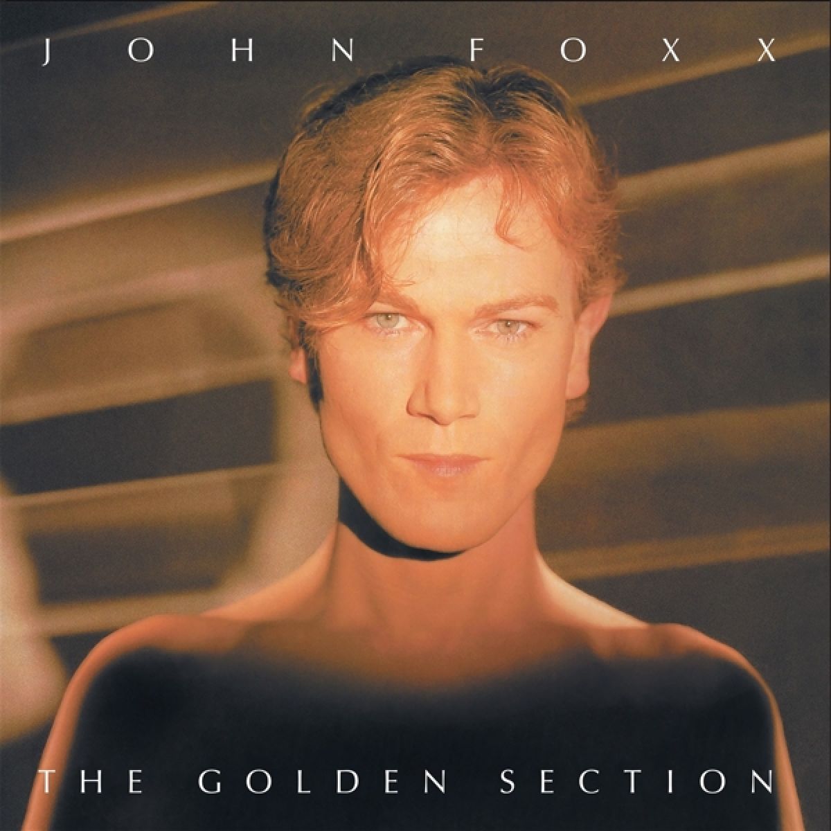 John Foxx - The Golden Section