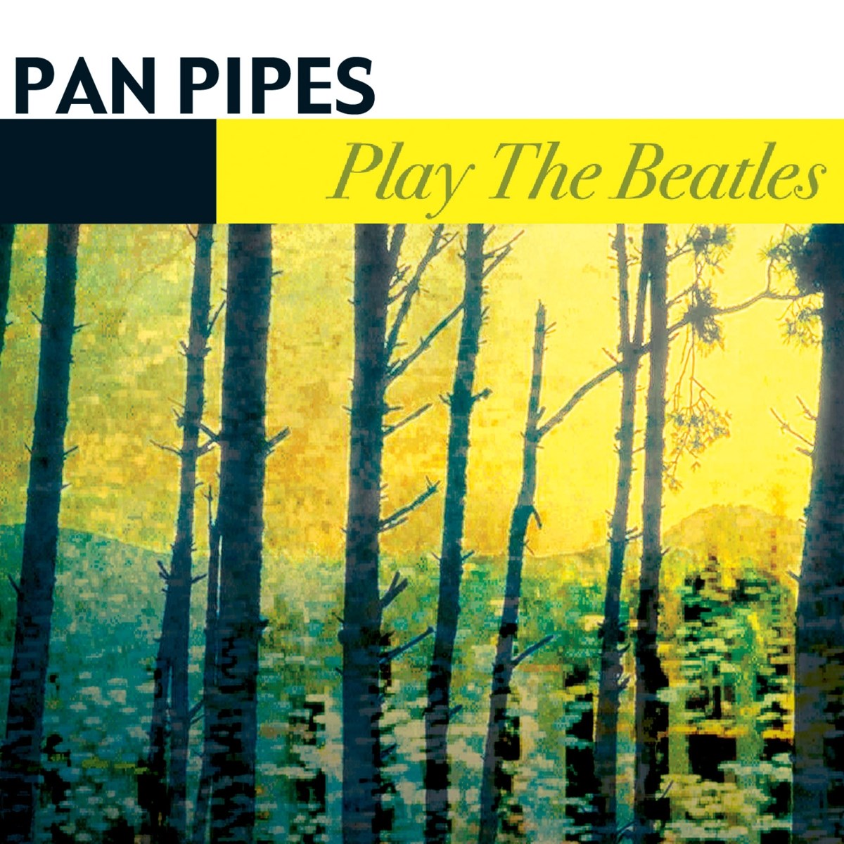 Panpipes - Play The Beatles