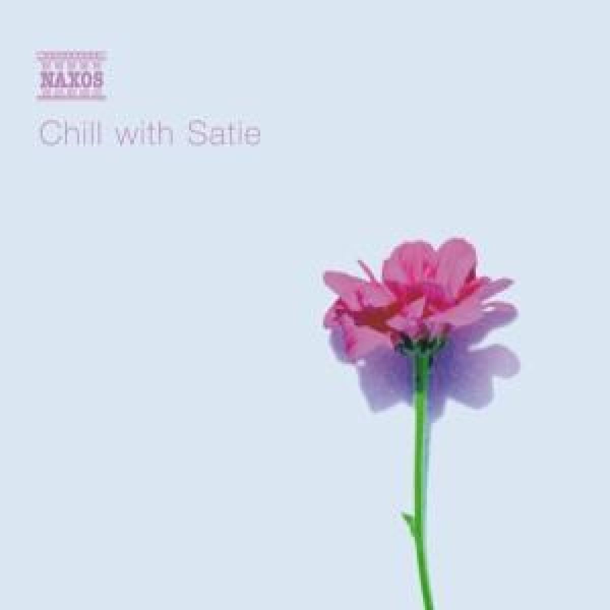 Afbeelding van Various Artists - Chill With Satie